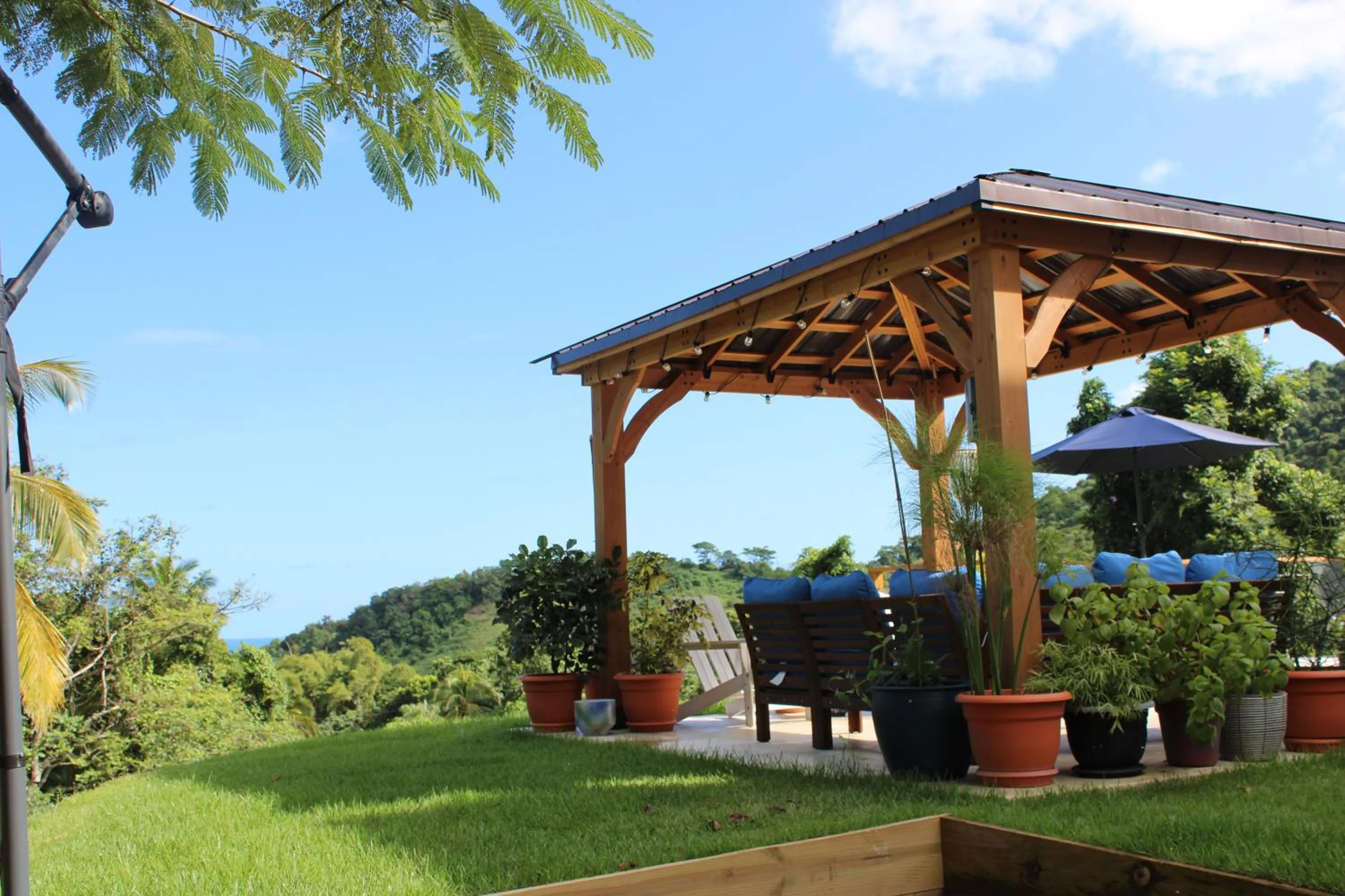 Day in The Serene House Bed & Breakfast