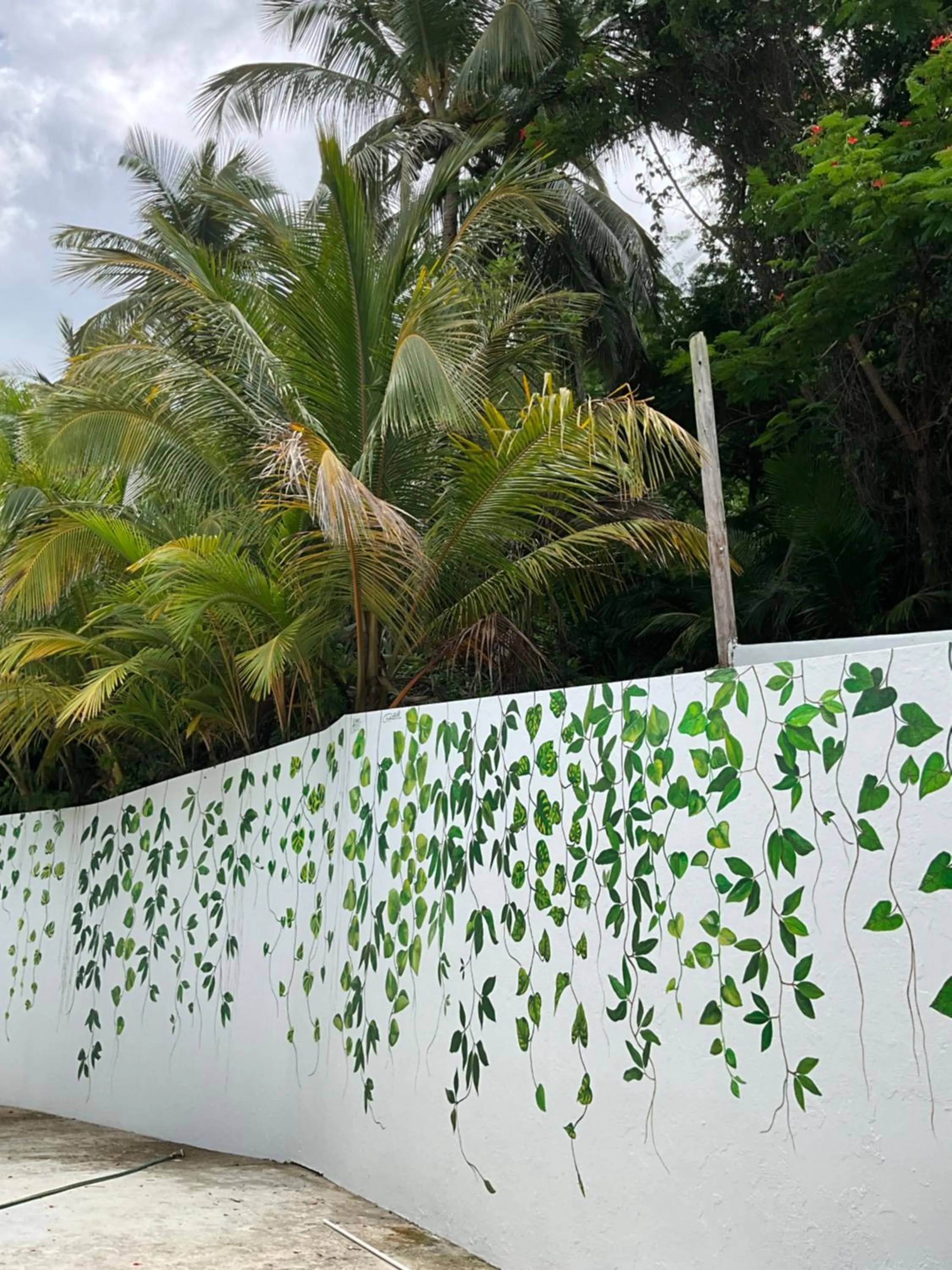 Spring in The Serene House Bed & Breakfast