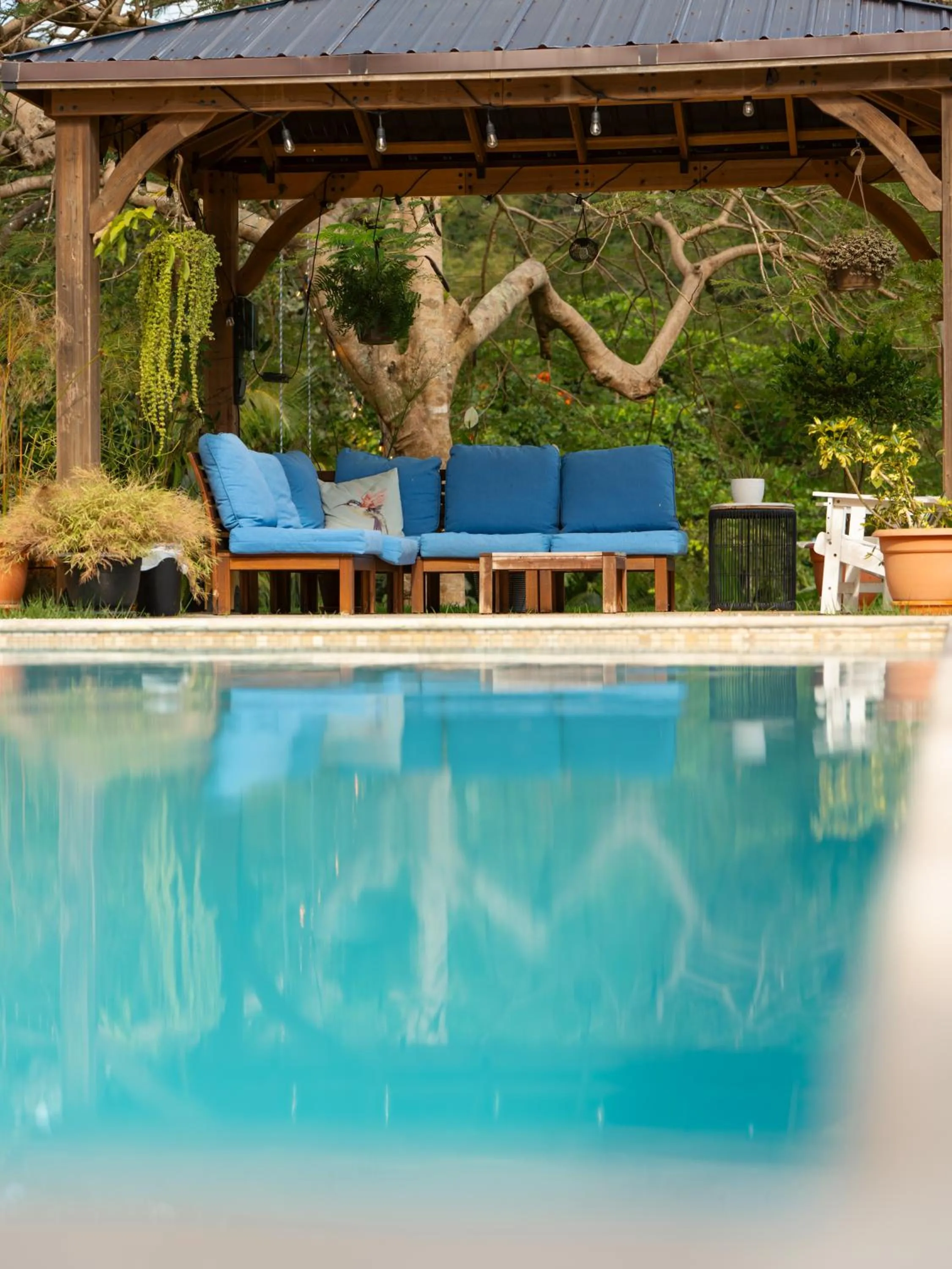 Swimming pool in The Serene House Bed & Breakfast