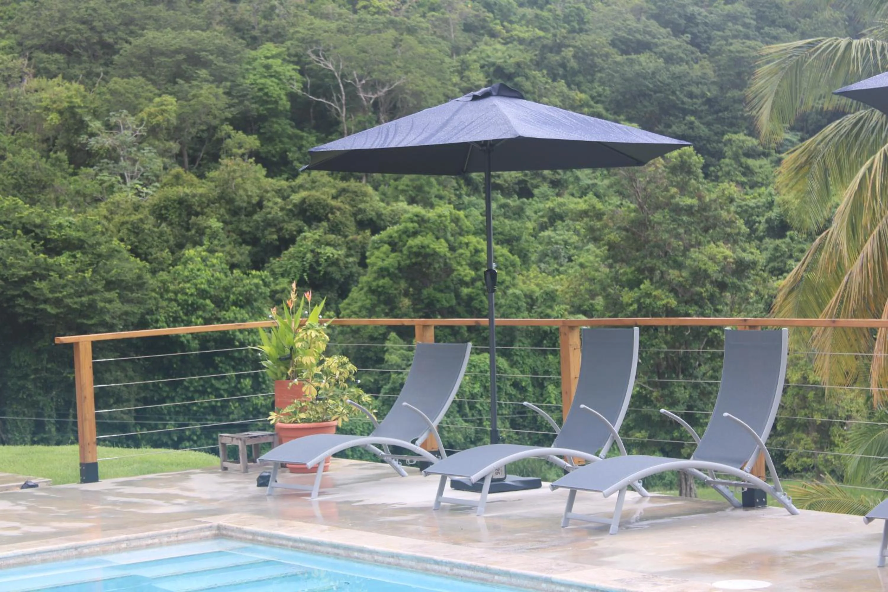 View (from property/room) in The Serene House Bed & Breakfast