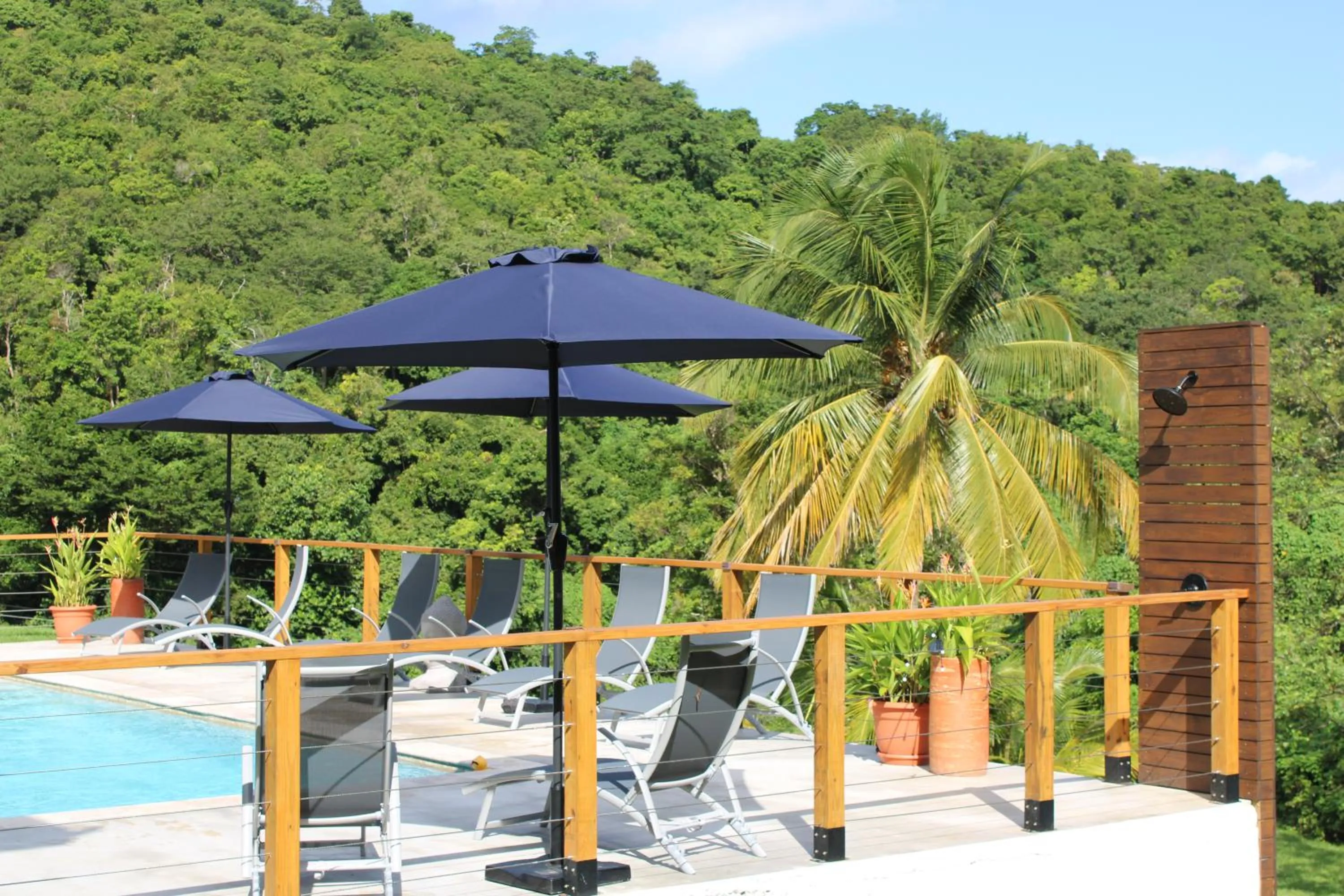 Spring in The Serene House Bed & Breakfast