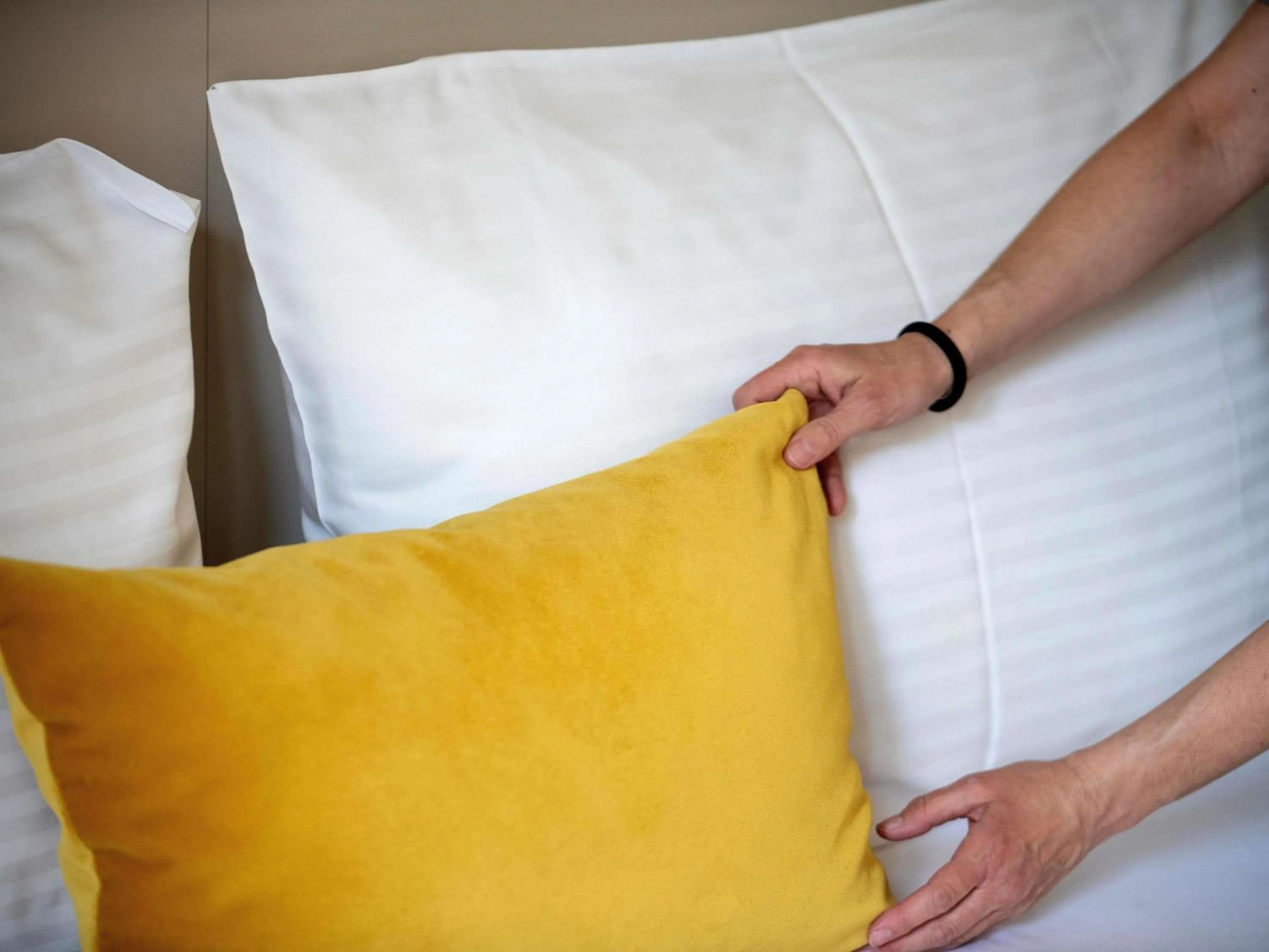 Other in Mercure Belgrade Excelsior