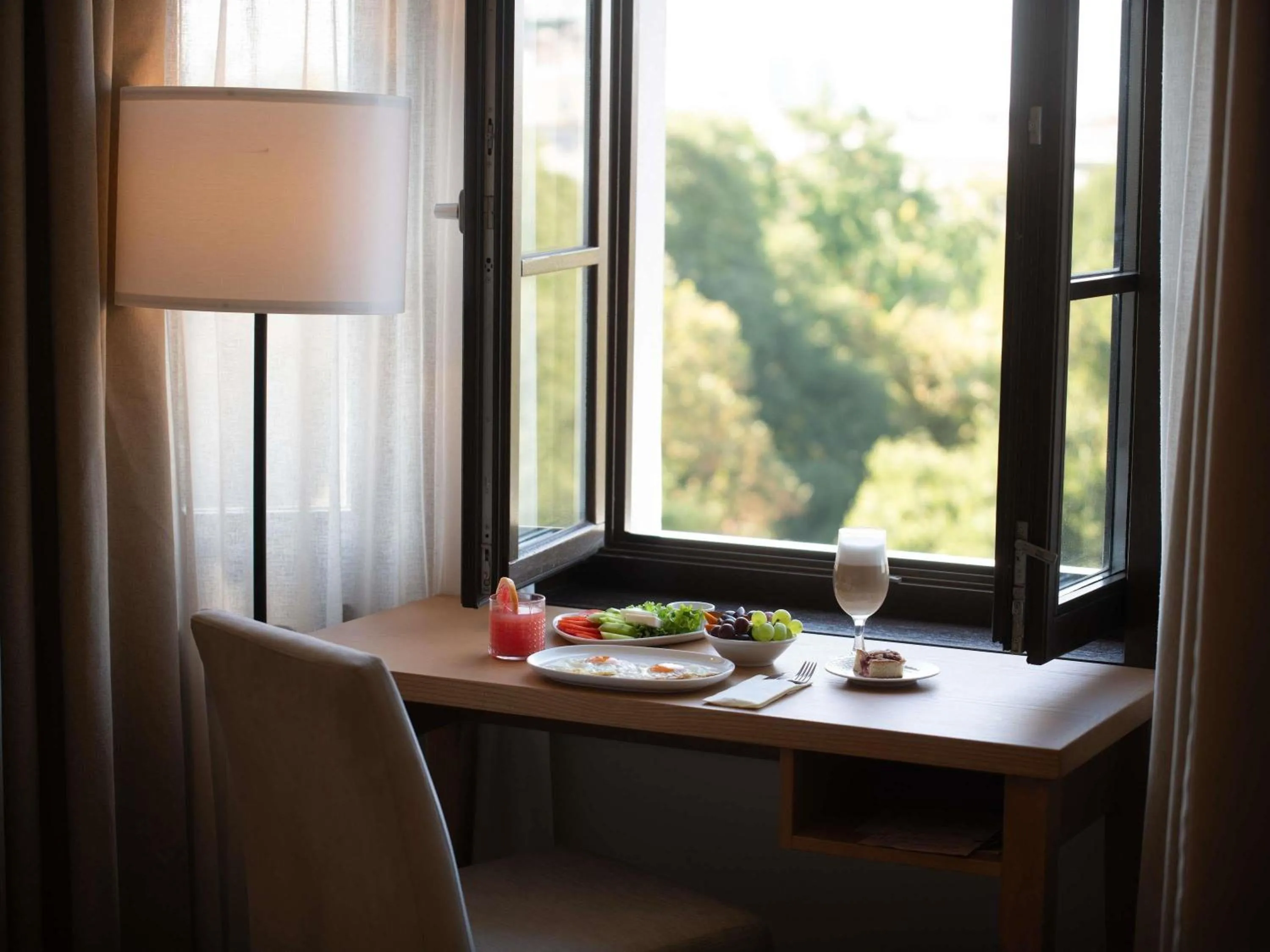 Other in Mercure Belgrade Excelsior