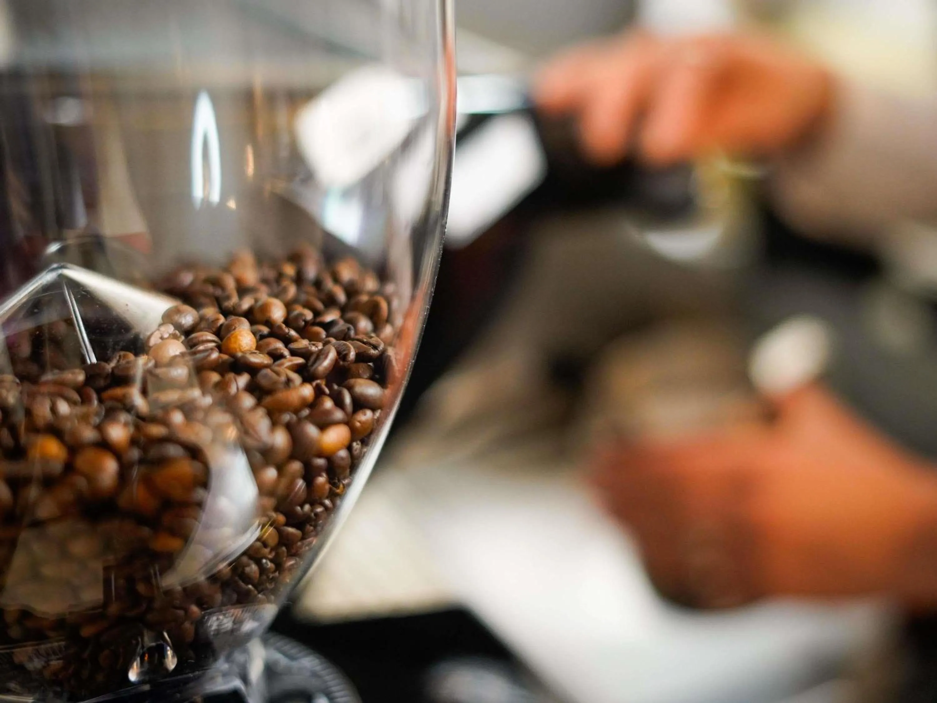 Breakfast in Mercure Belgrade Excelsior