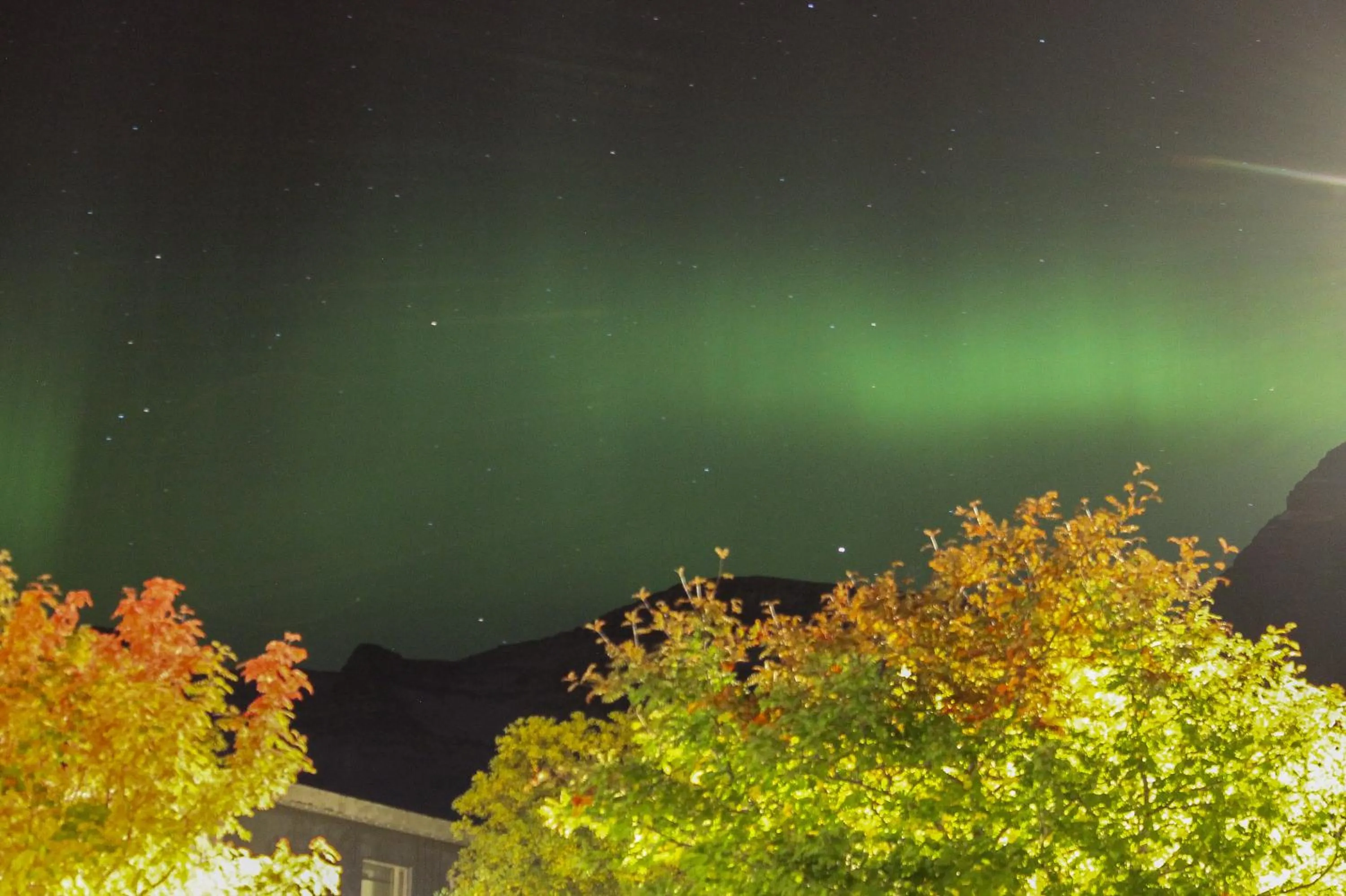 Street view in Hótel Austur
