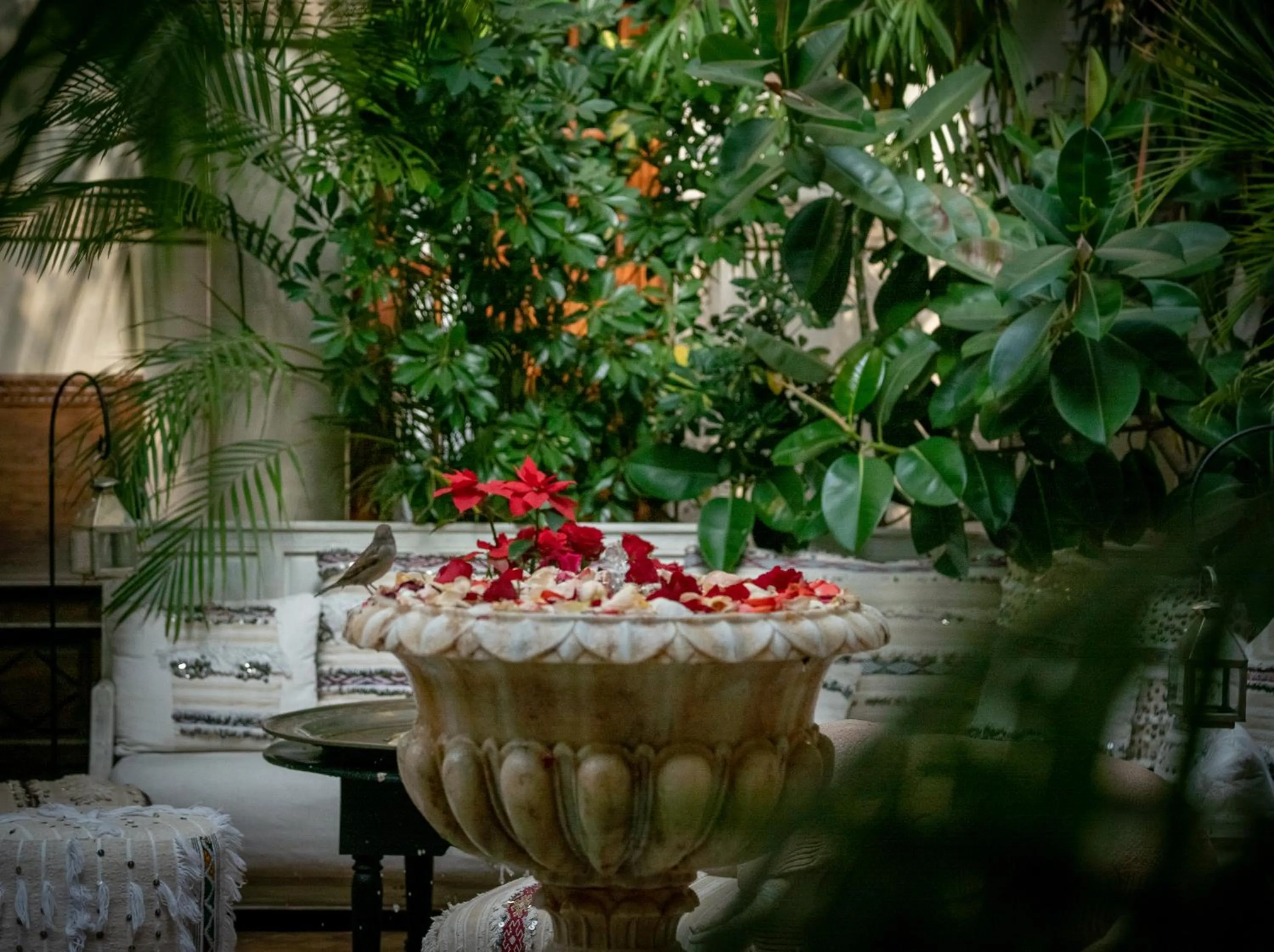Garden in Demeures d'Orient Riad & Spa