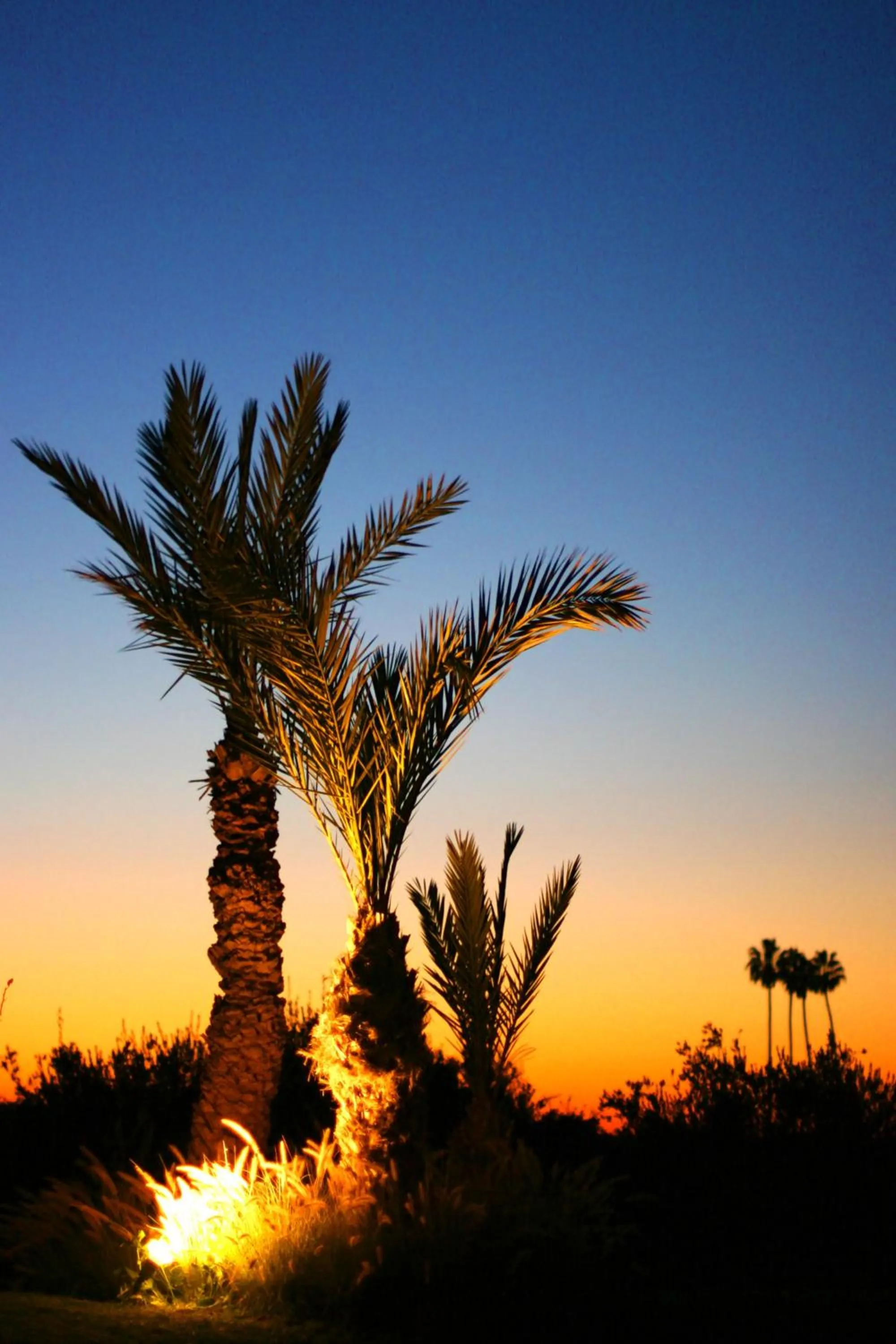 Garden in Riad Al Mendili Private Resort & Spa