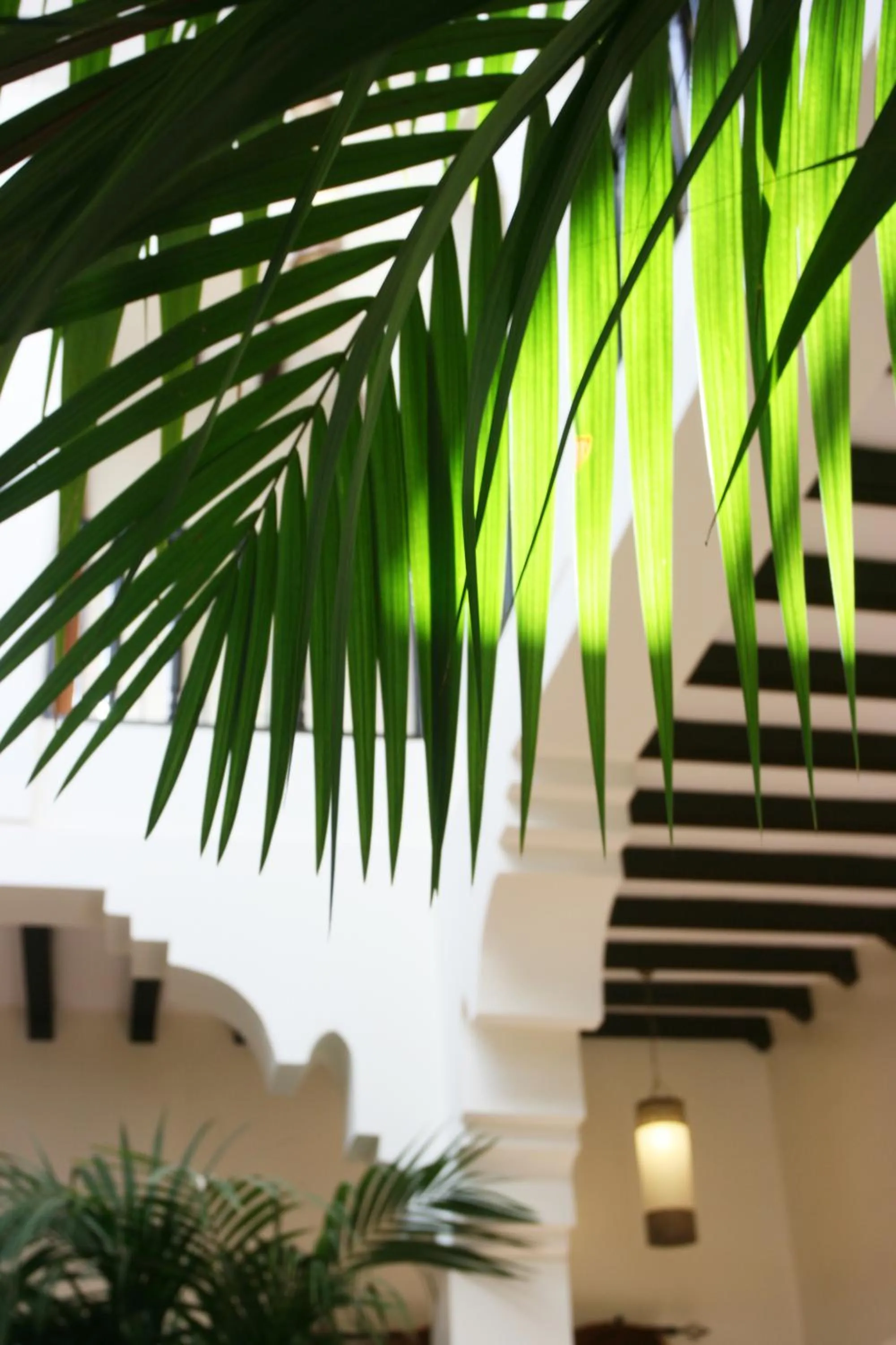 Restaurant/places to eat in Riad Al Mendili Private Resort & Spa