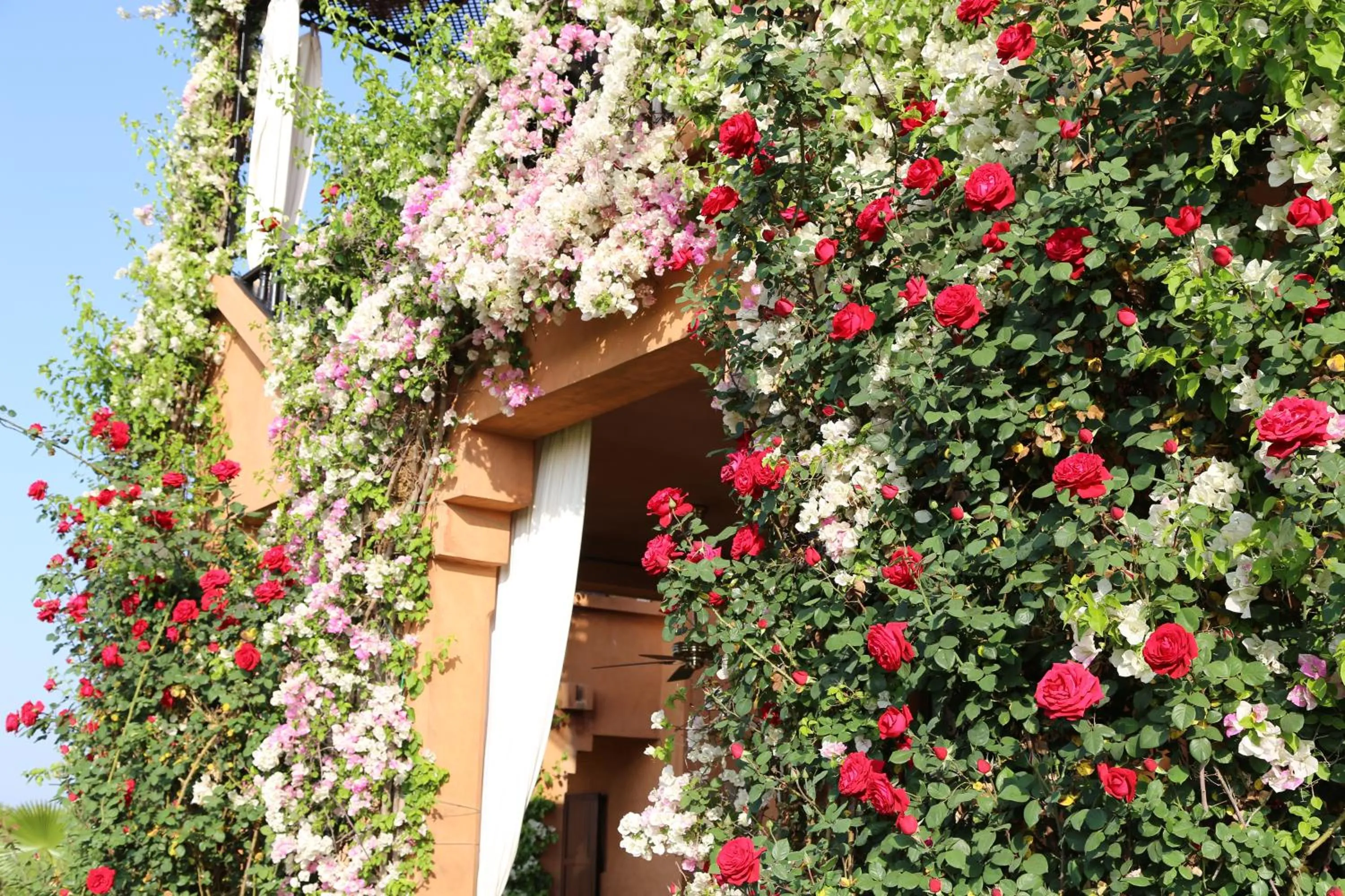 Facade/entrance in Riad Al Mendili Private Resort & Spa