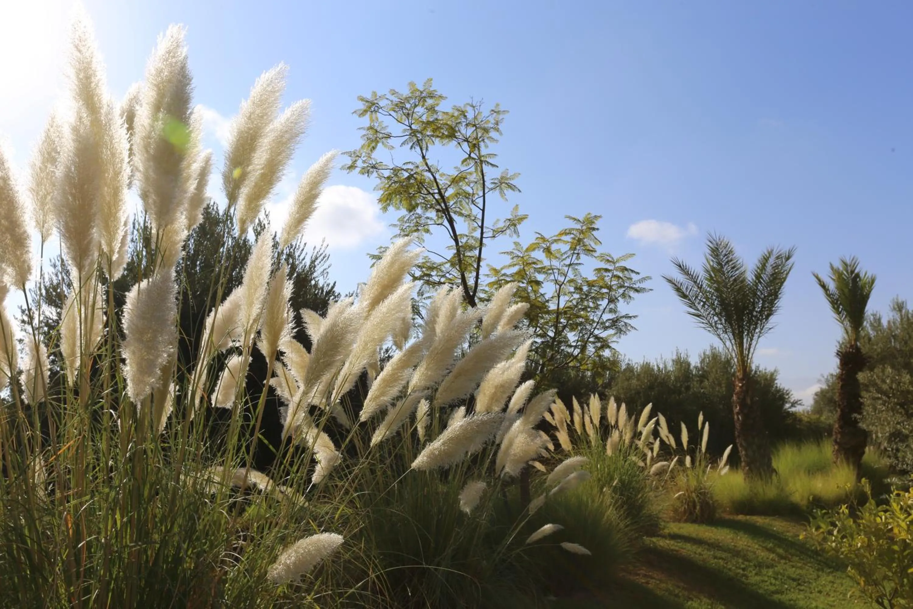 Garden in Riad Al Mendili Private Resort & Spa