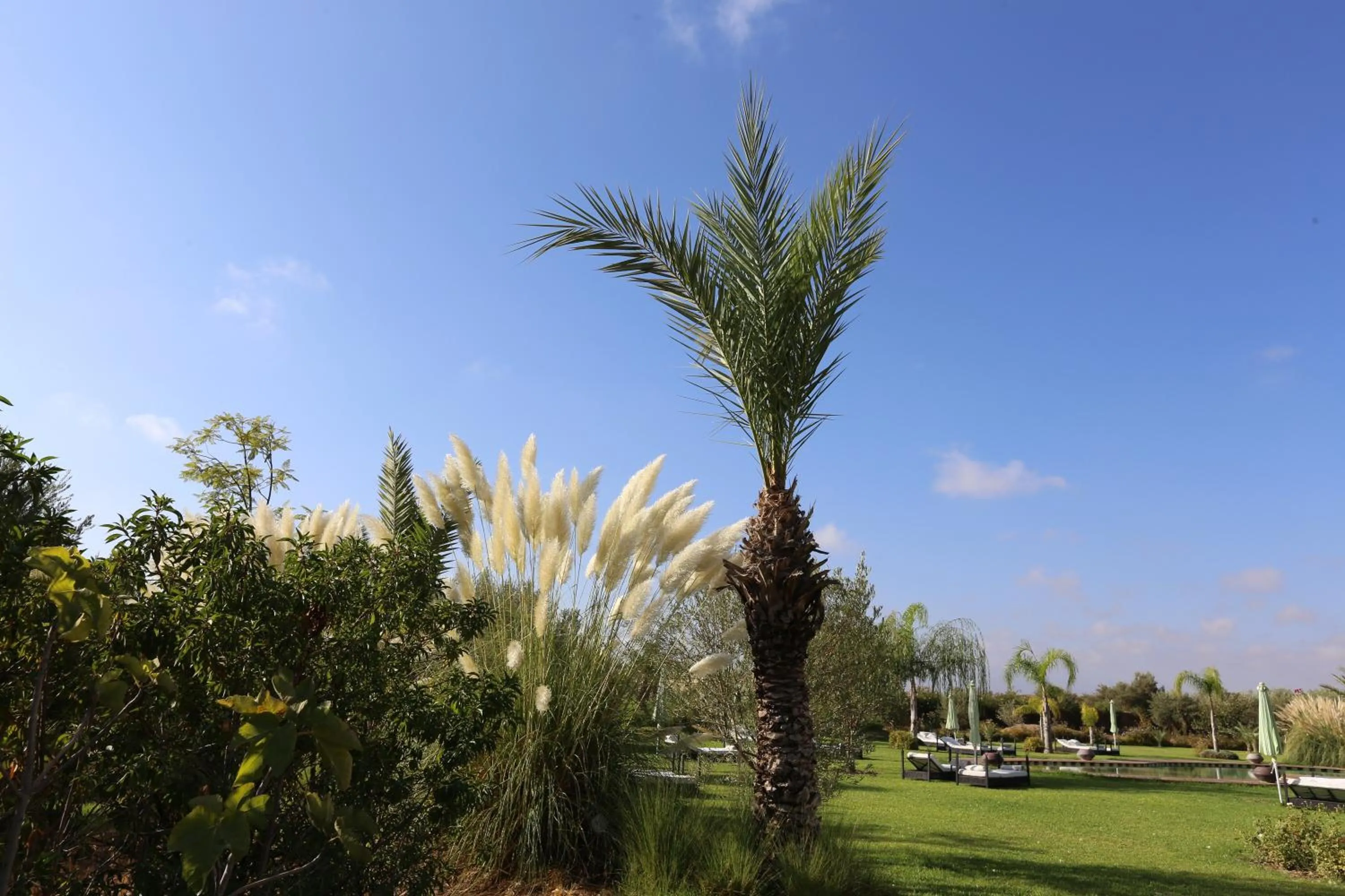 Garden in Riad Al Mendili Private Resort & Spa