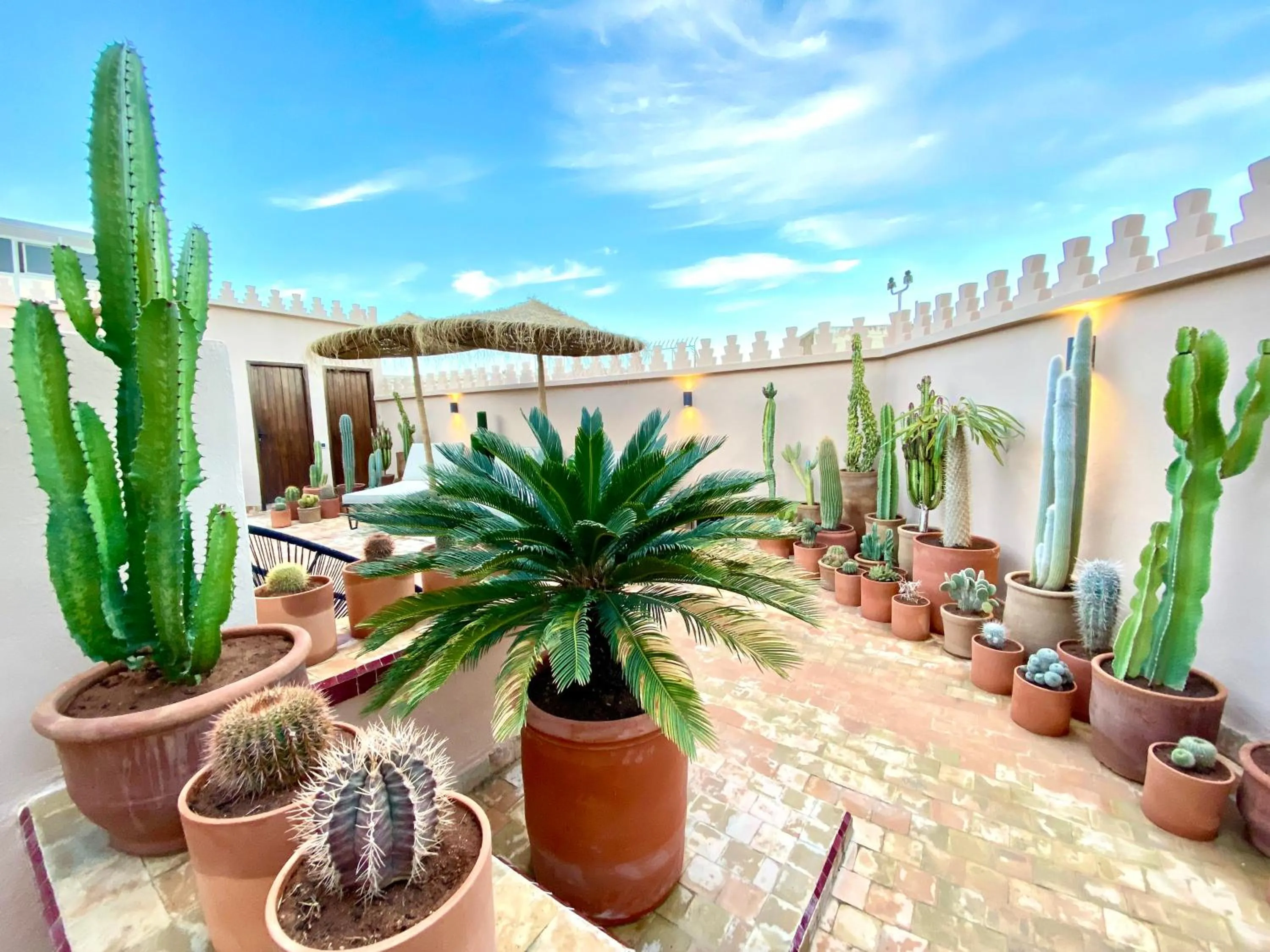 Patio in Riad Zamane Fès - Boutique & Spa