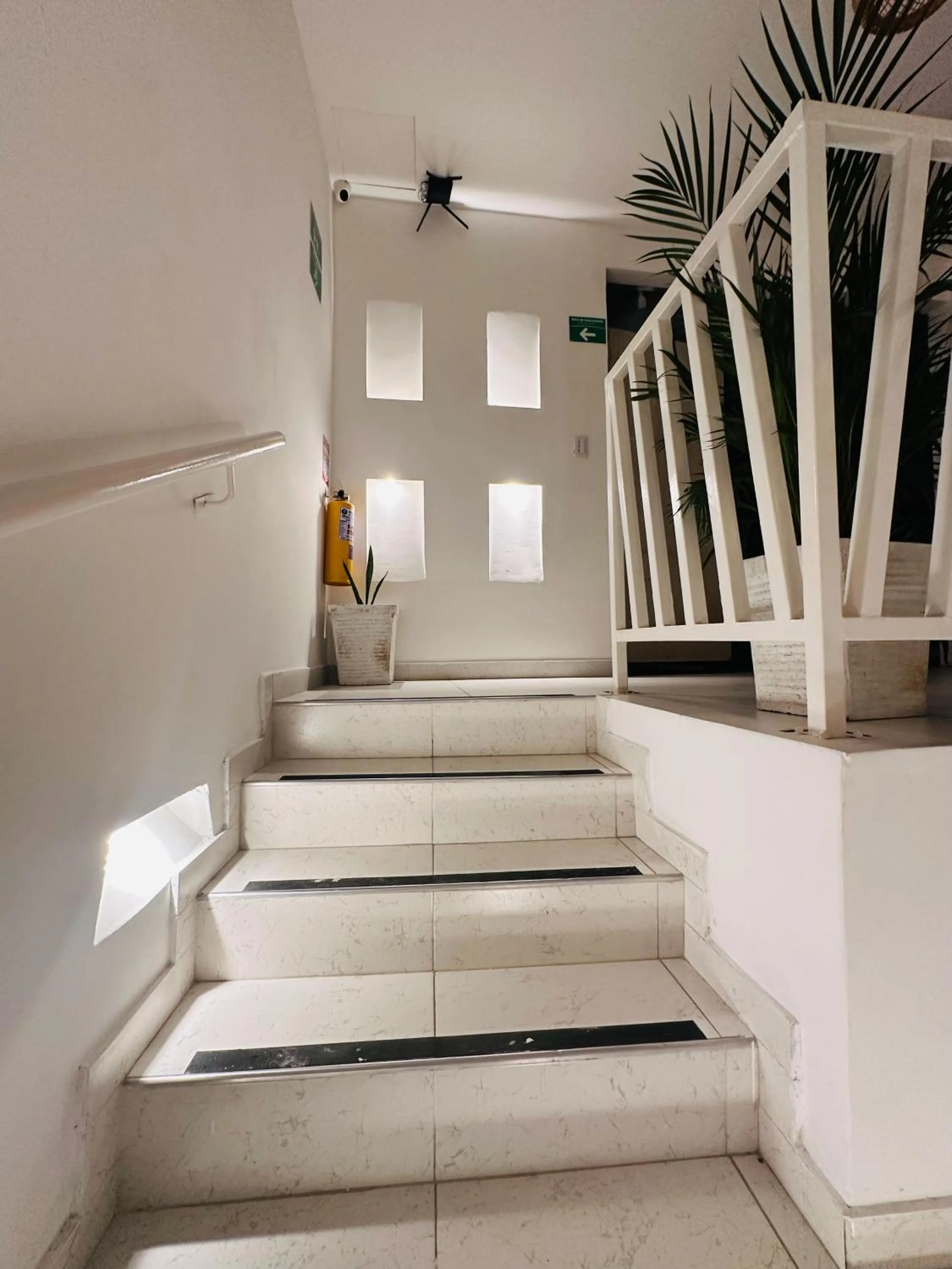 Area and facilities in Hostal Casa Torres Centro Historico - Adults Only