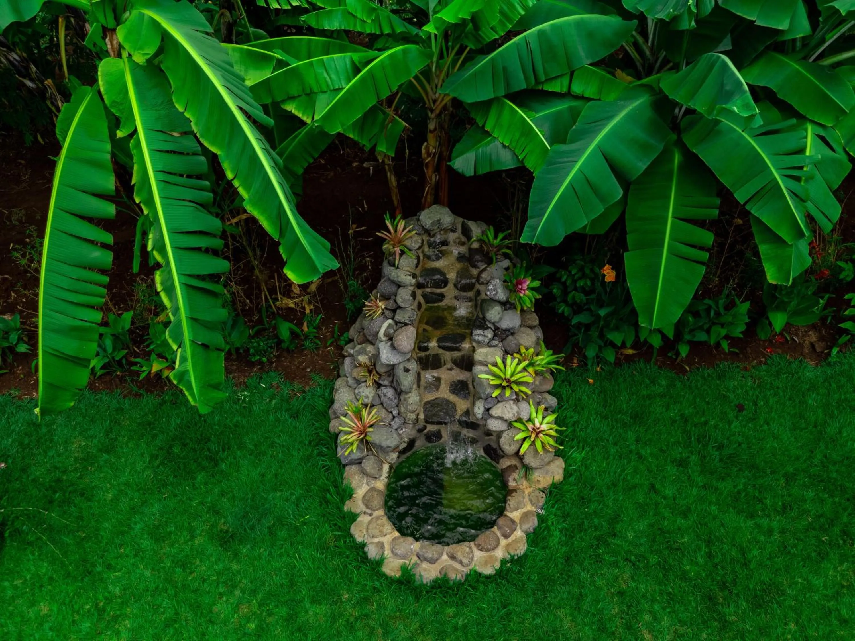 Restaurant/places to eat in Shose Farmhouse Chalets & Campsite