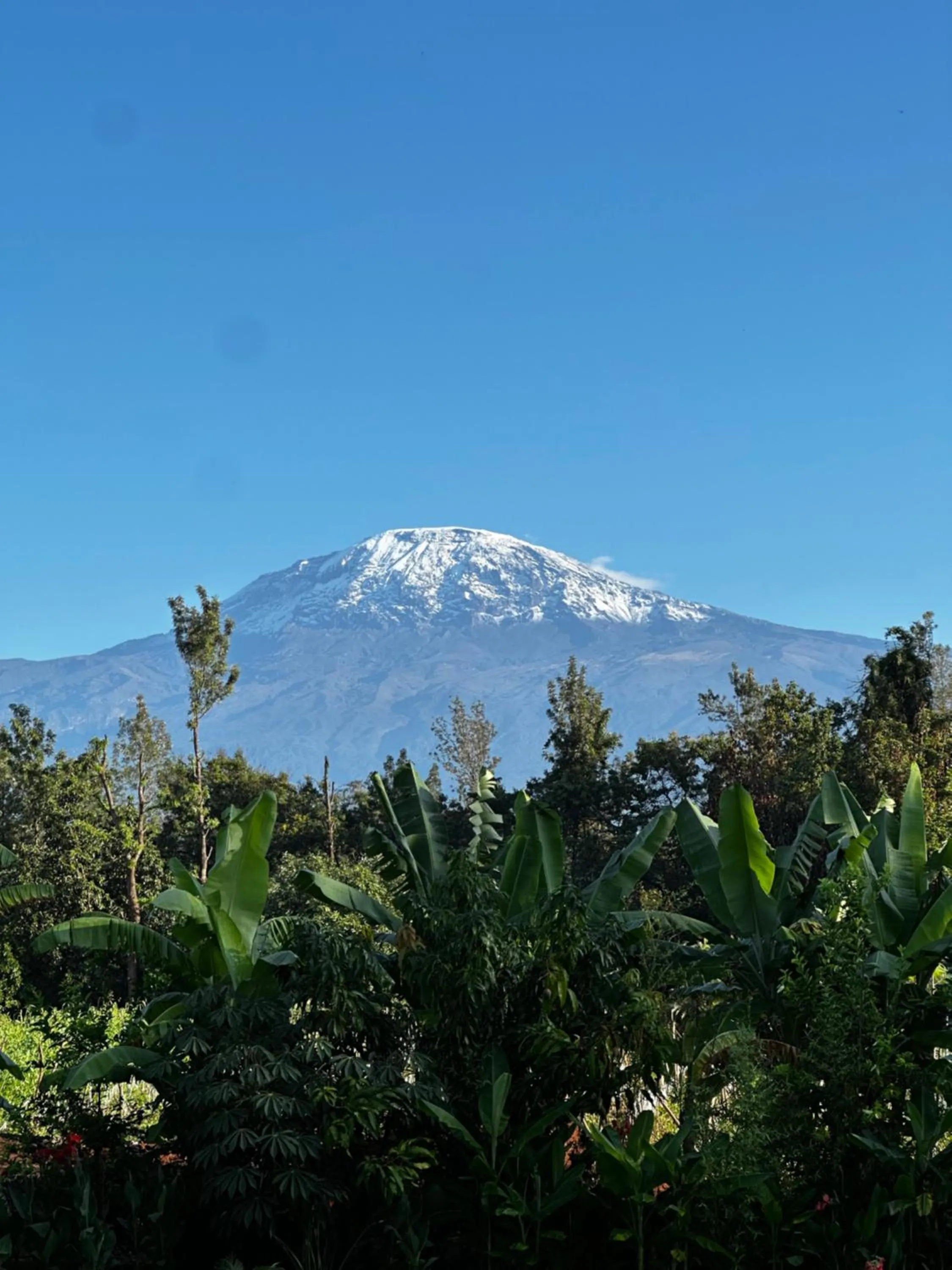 Mountain view in Shose Farmhouse Chalets & Campsite