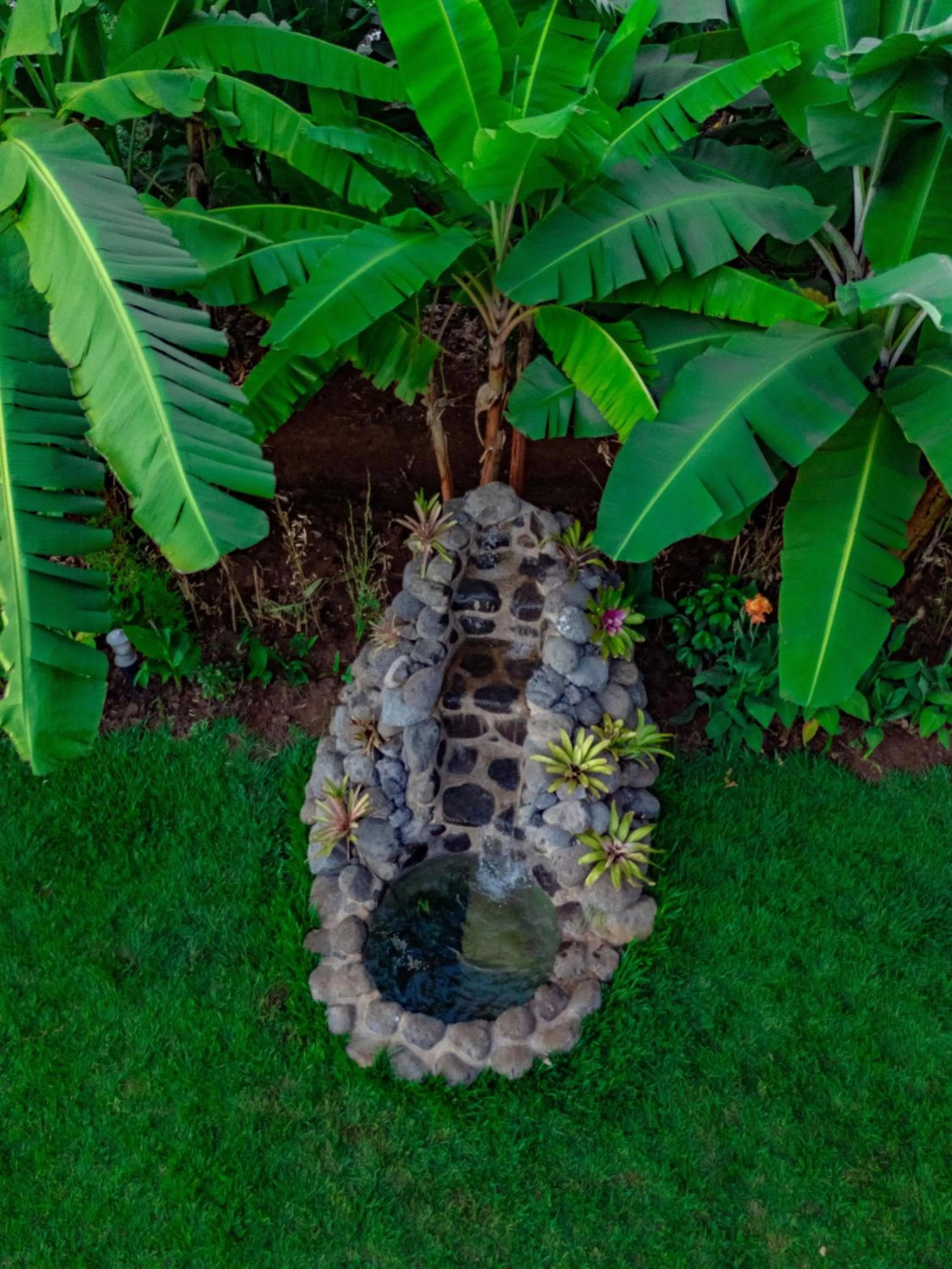 Restaurant/places to eat in Shose Farmhouse Chalets & Campsite