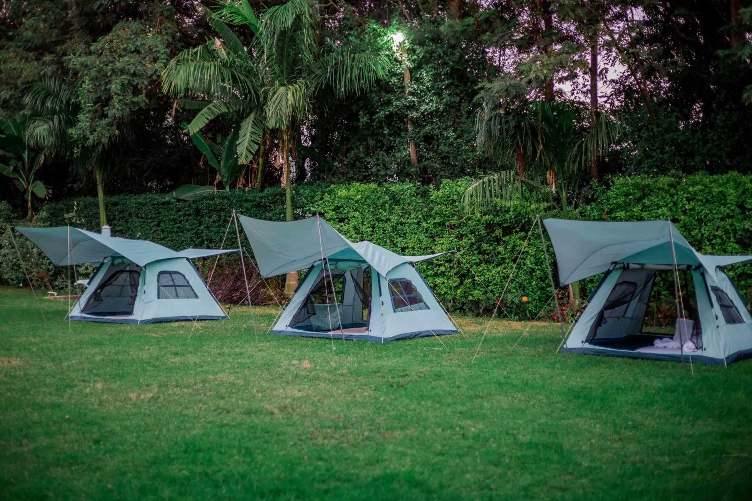 View (from property/room) in Shose Farmhouse Chalets & Campsite
