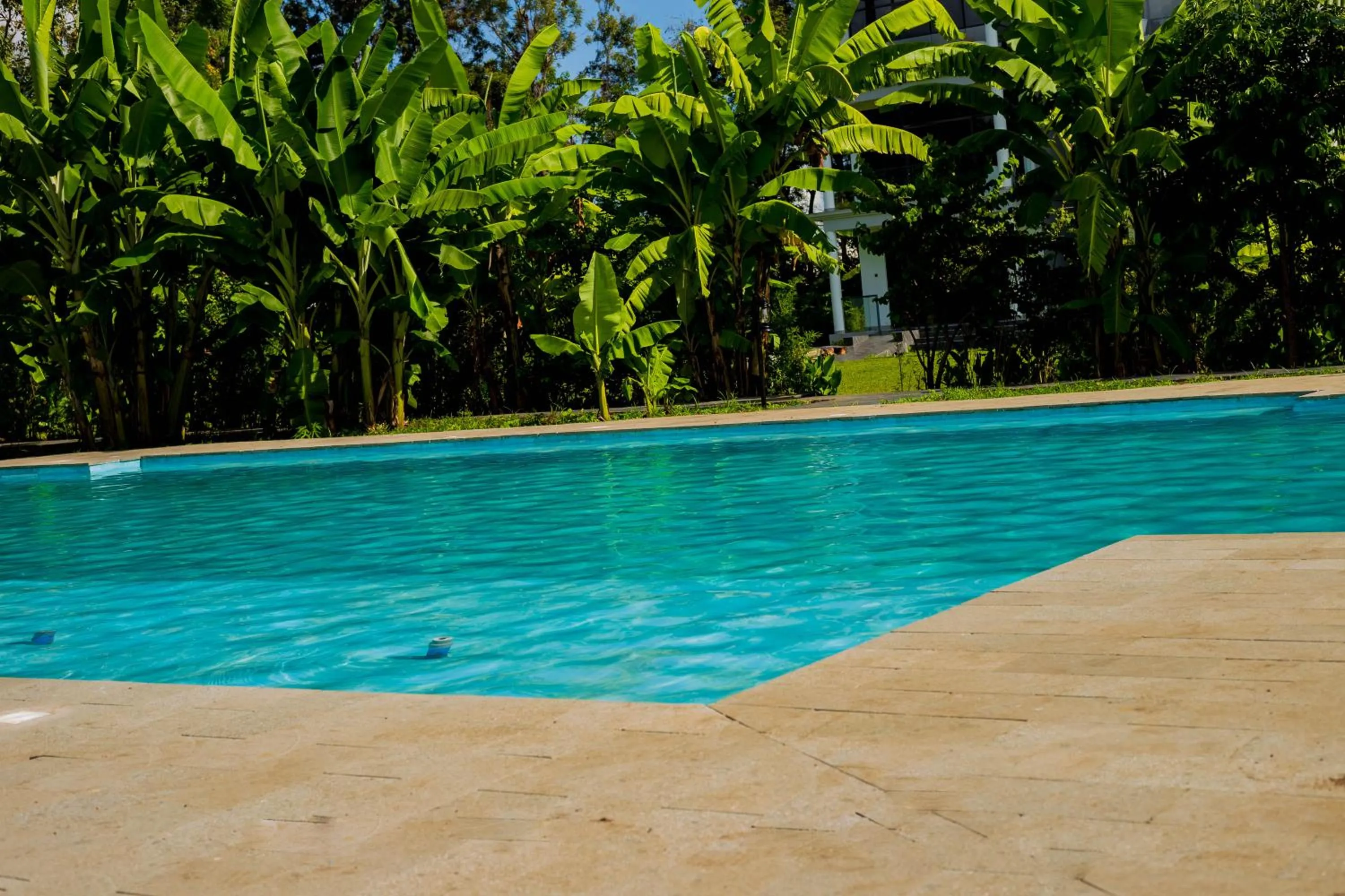 Swimming pool in Shose Farmhouse Chalets & Campsite