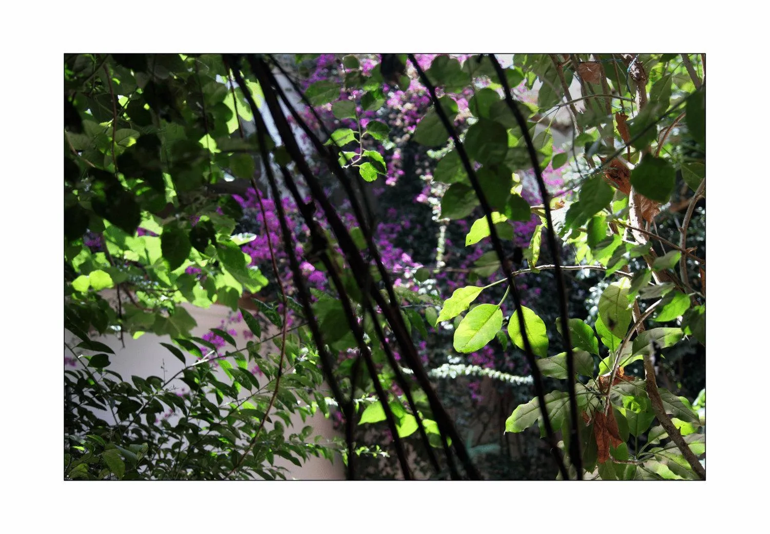 Riad Maryam Taroudant