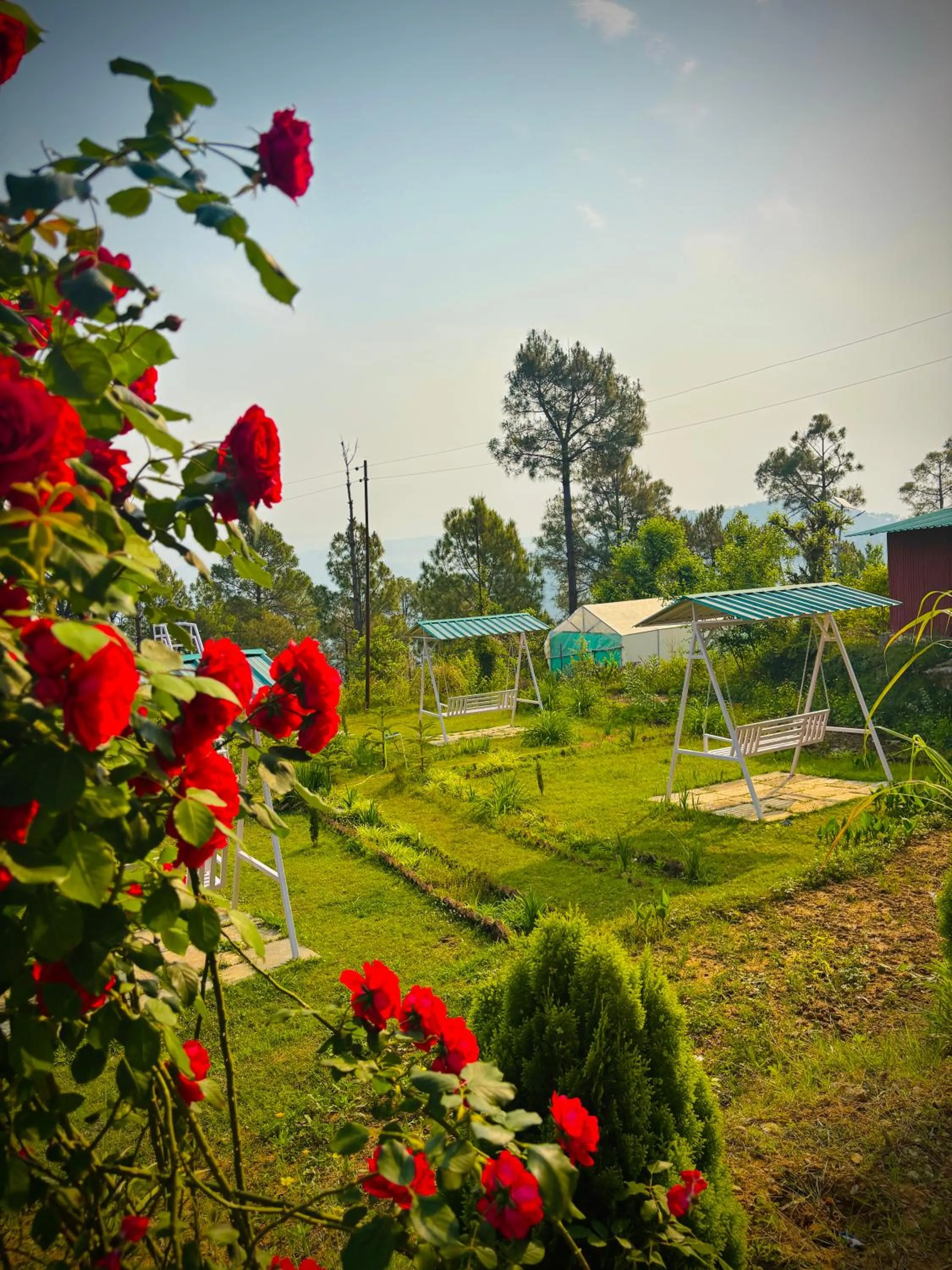 Day in Lap Of Himalayas Resort