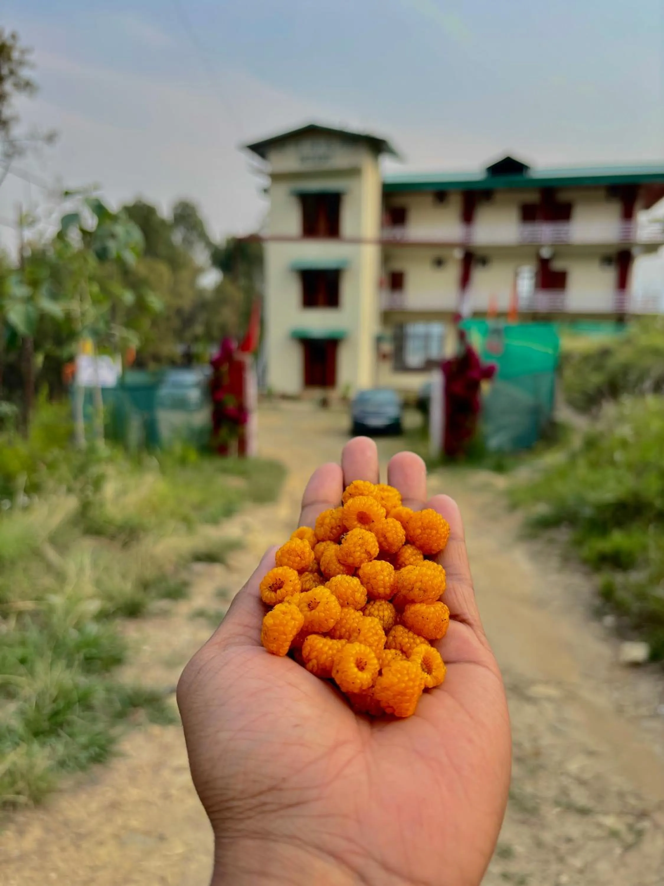 Property building in Lap Of Himalayas Resort