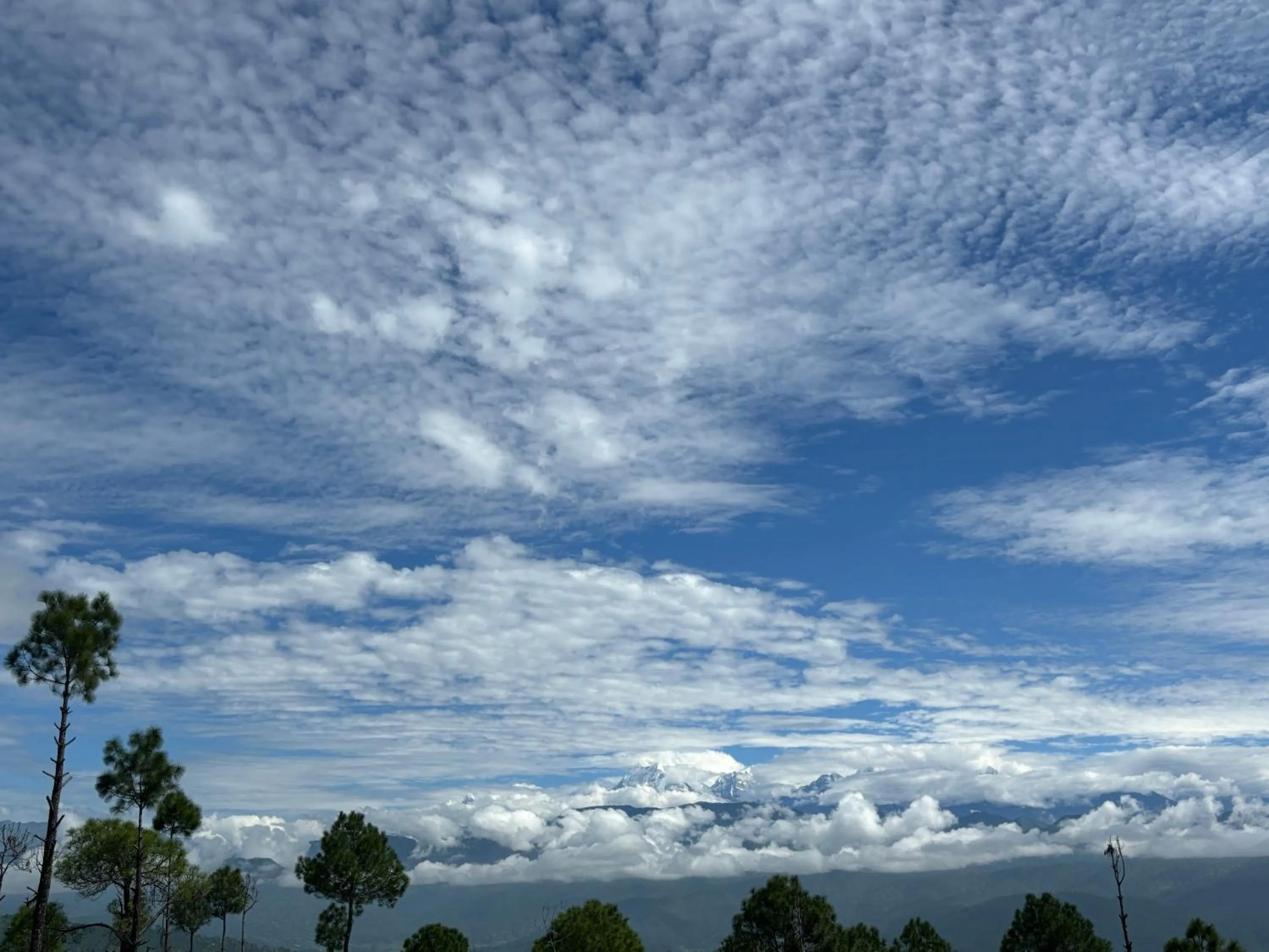 Day in Lap Of Himalayas Resort
