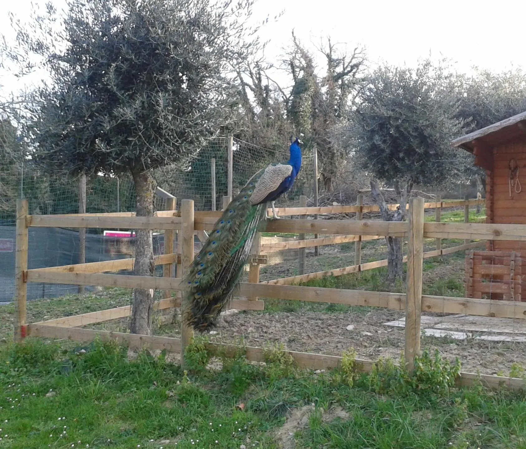 Activities in Garden Village San Marino