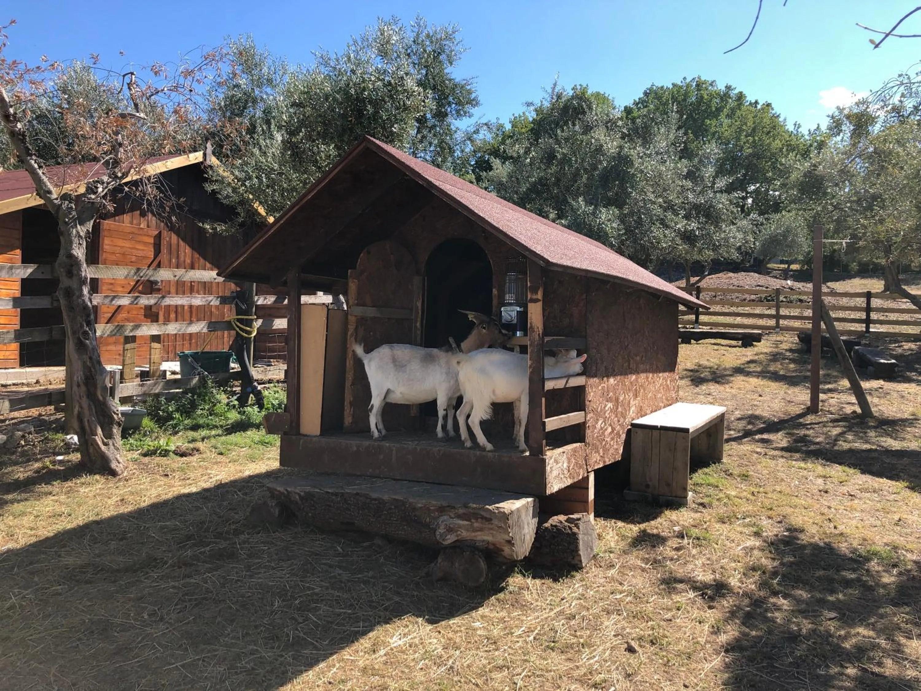 Activities in Garden Village San Marino