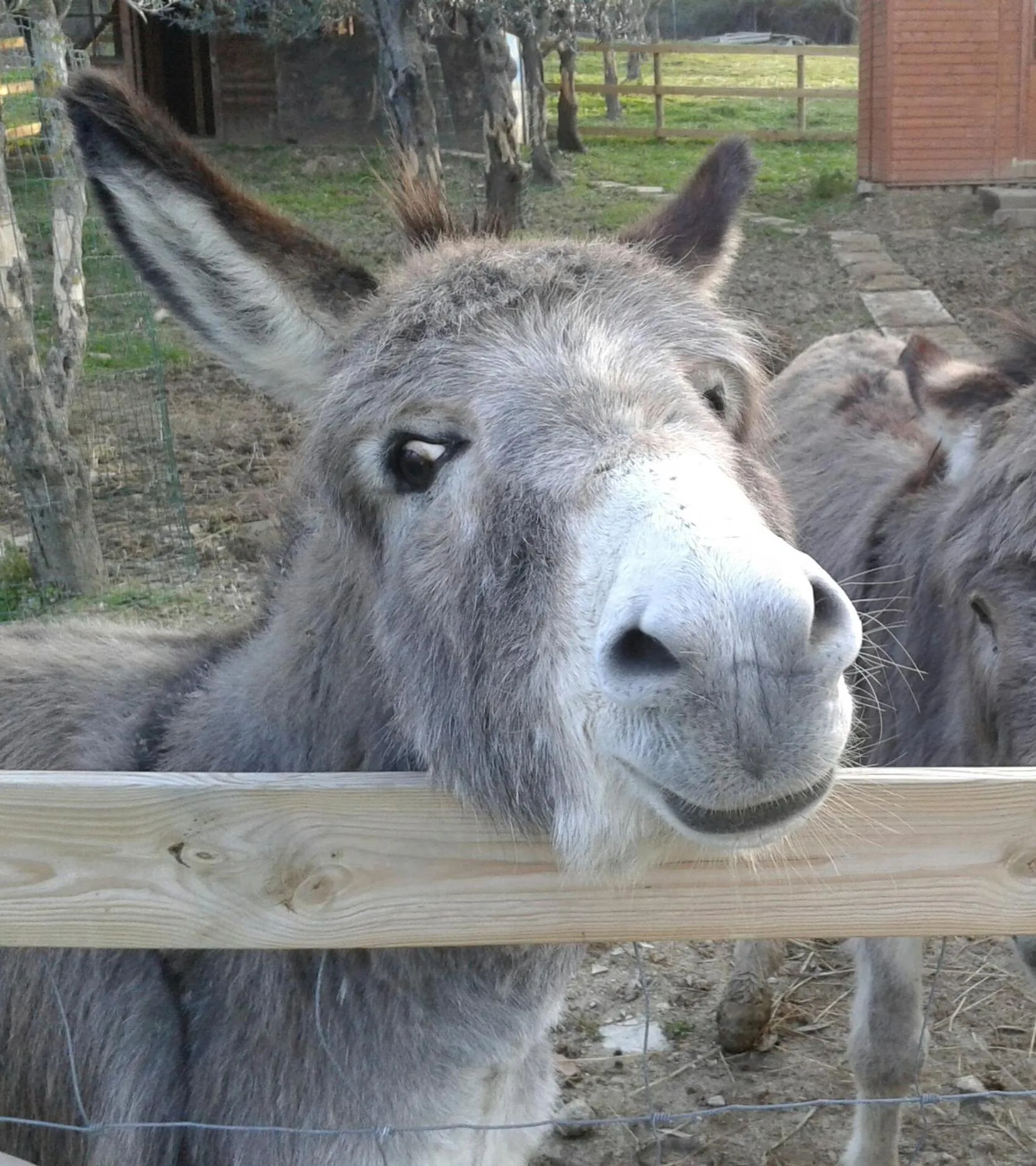 Activities in Garden Village San Marino