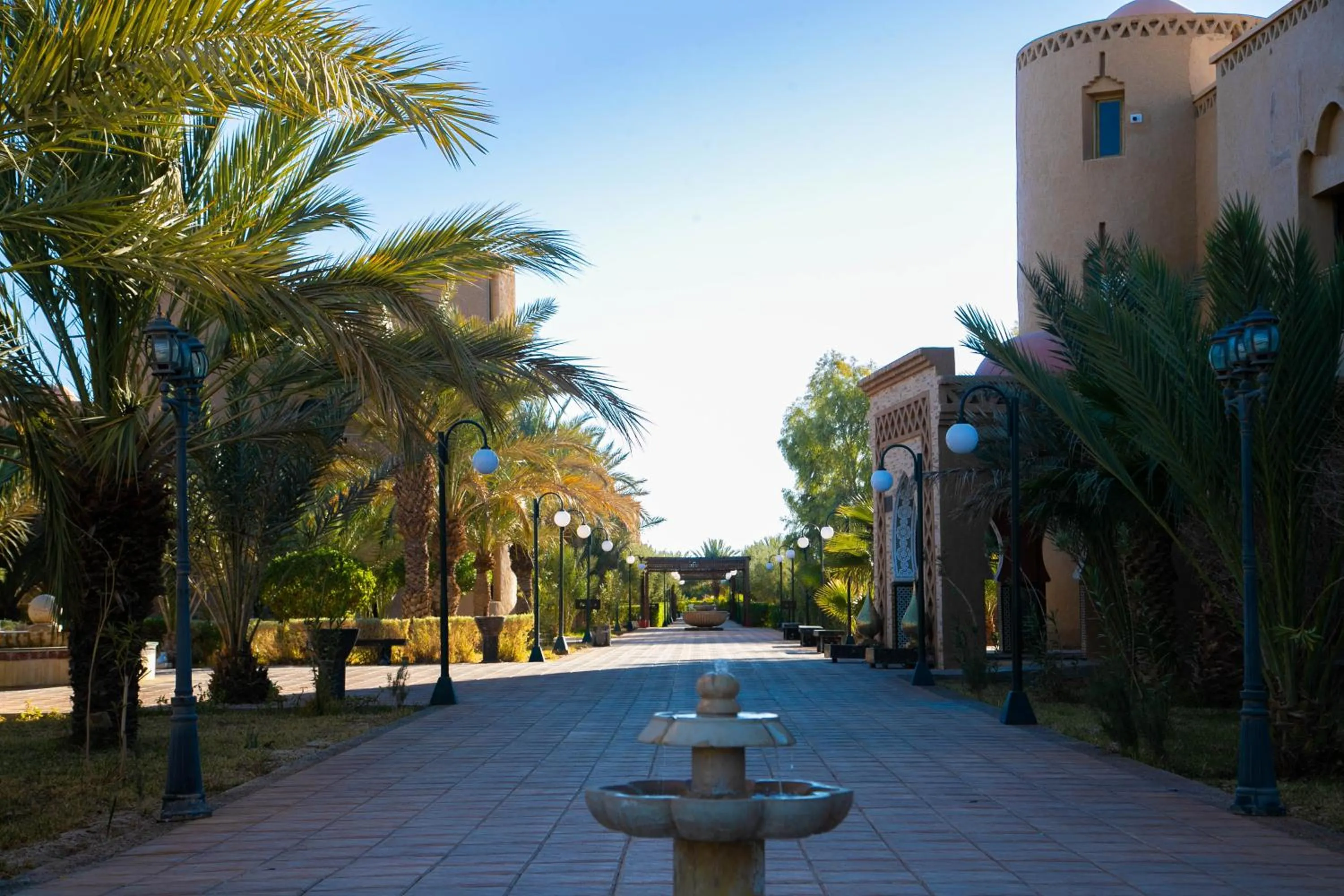 View (from property/room) in Palais Du Desert Hotel & Spa