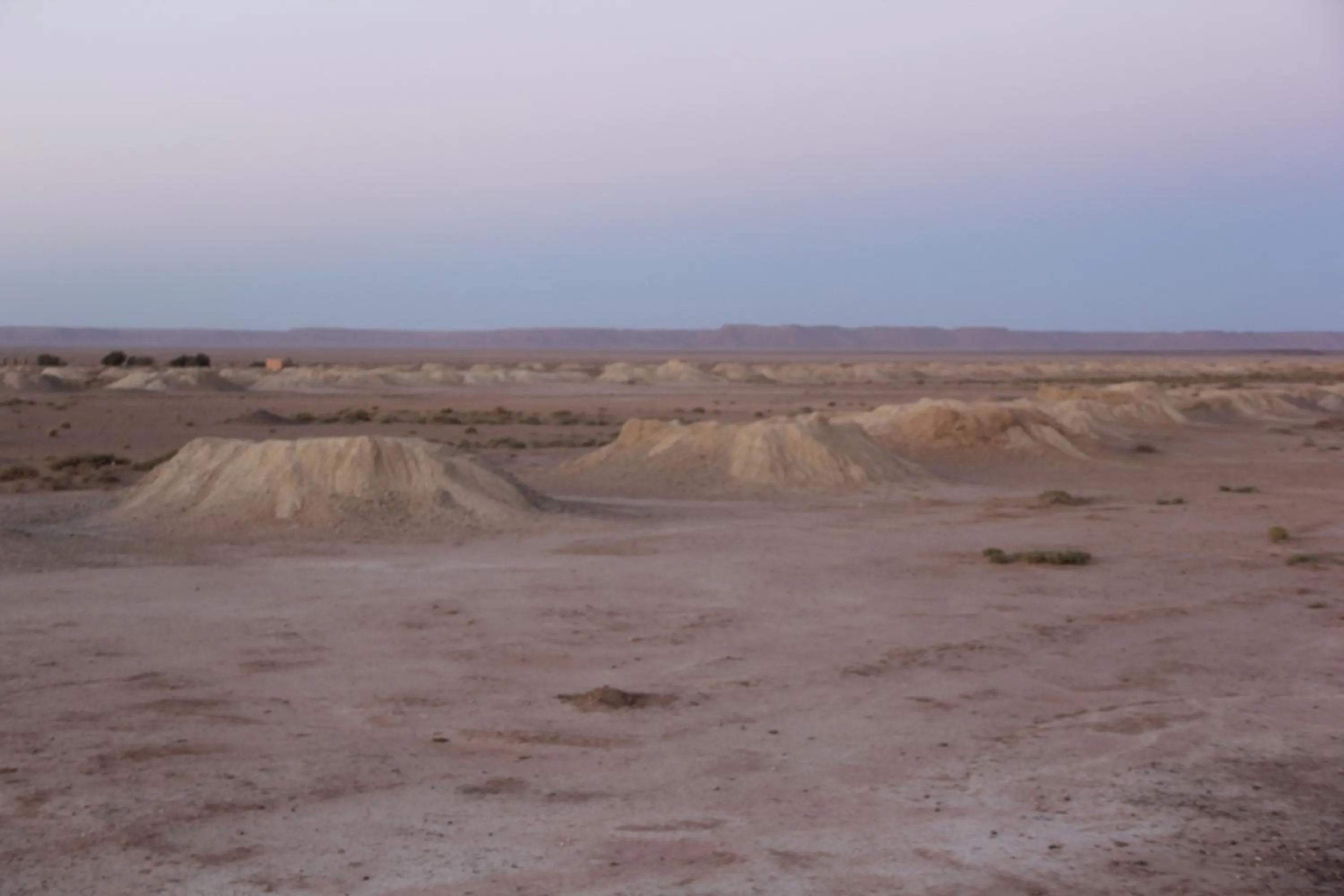 group of guests in Palais Du Desert Hotel & Spa