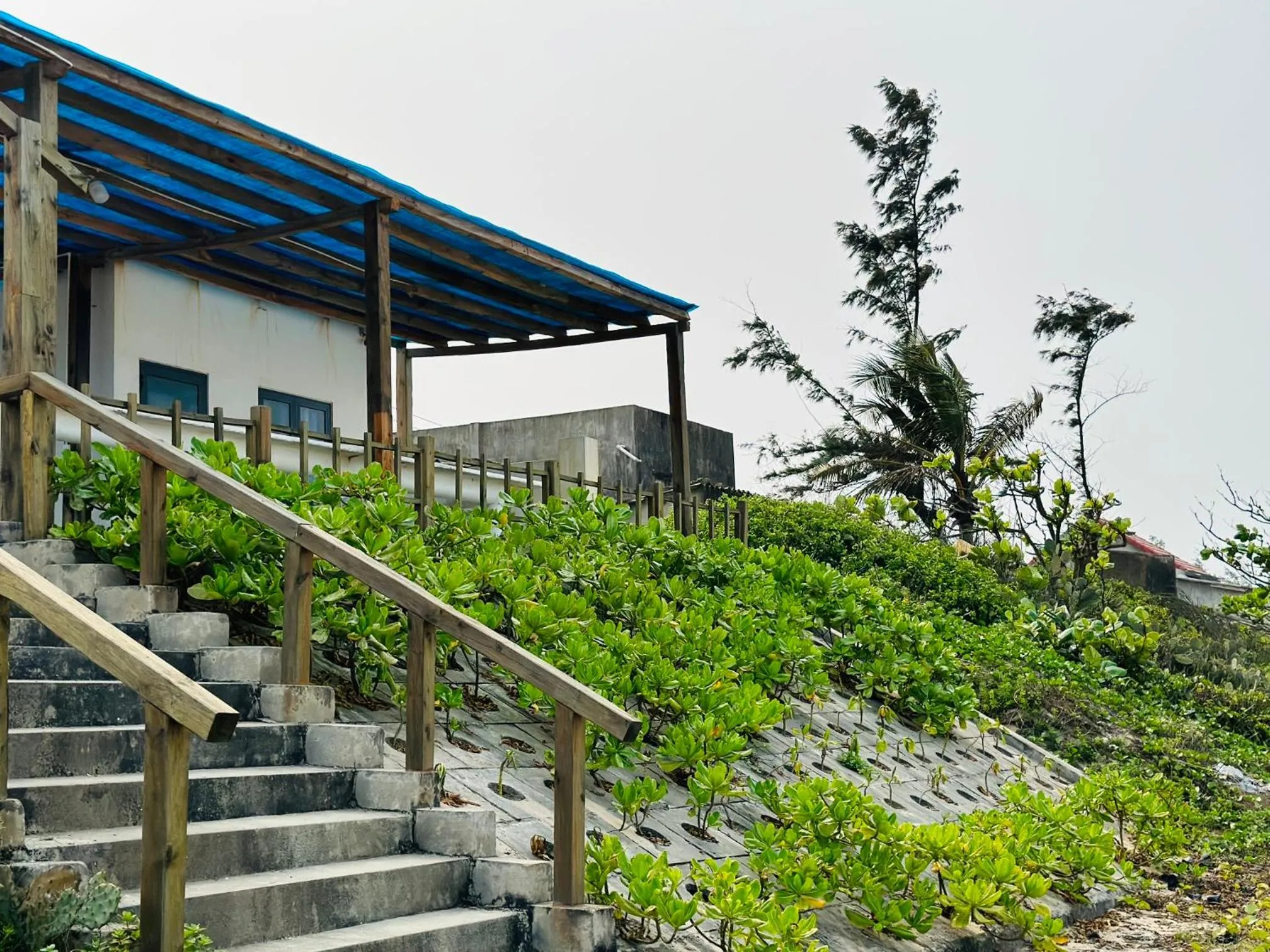 Property building in Ben's House 3