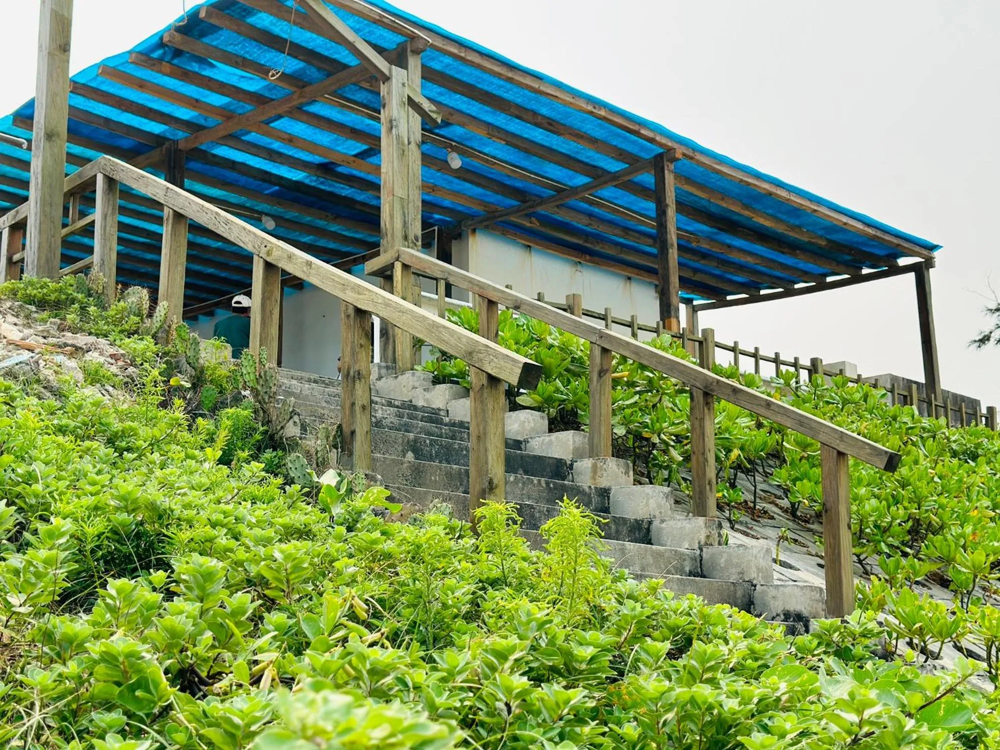 Garden view in Ben's House 3