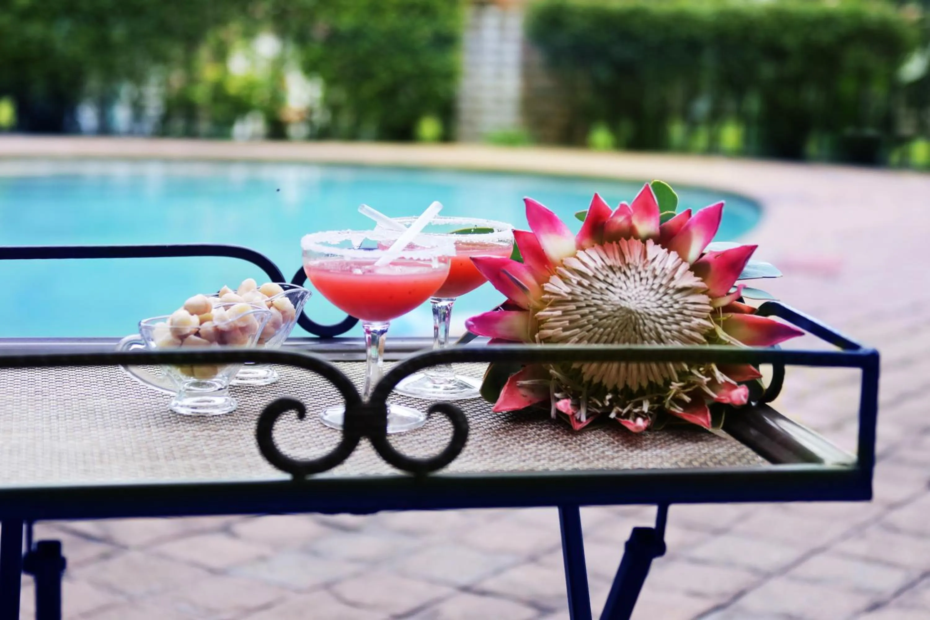 Pool view in Villa Ticino Guest House