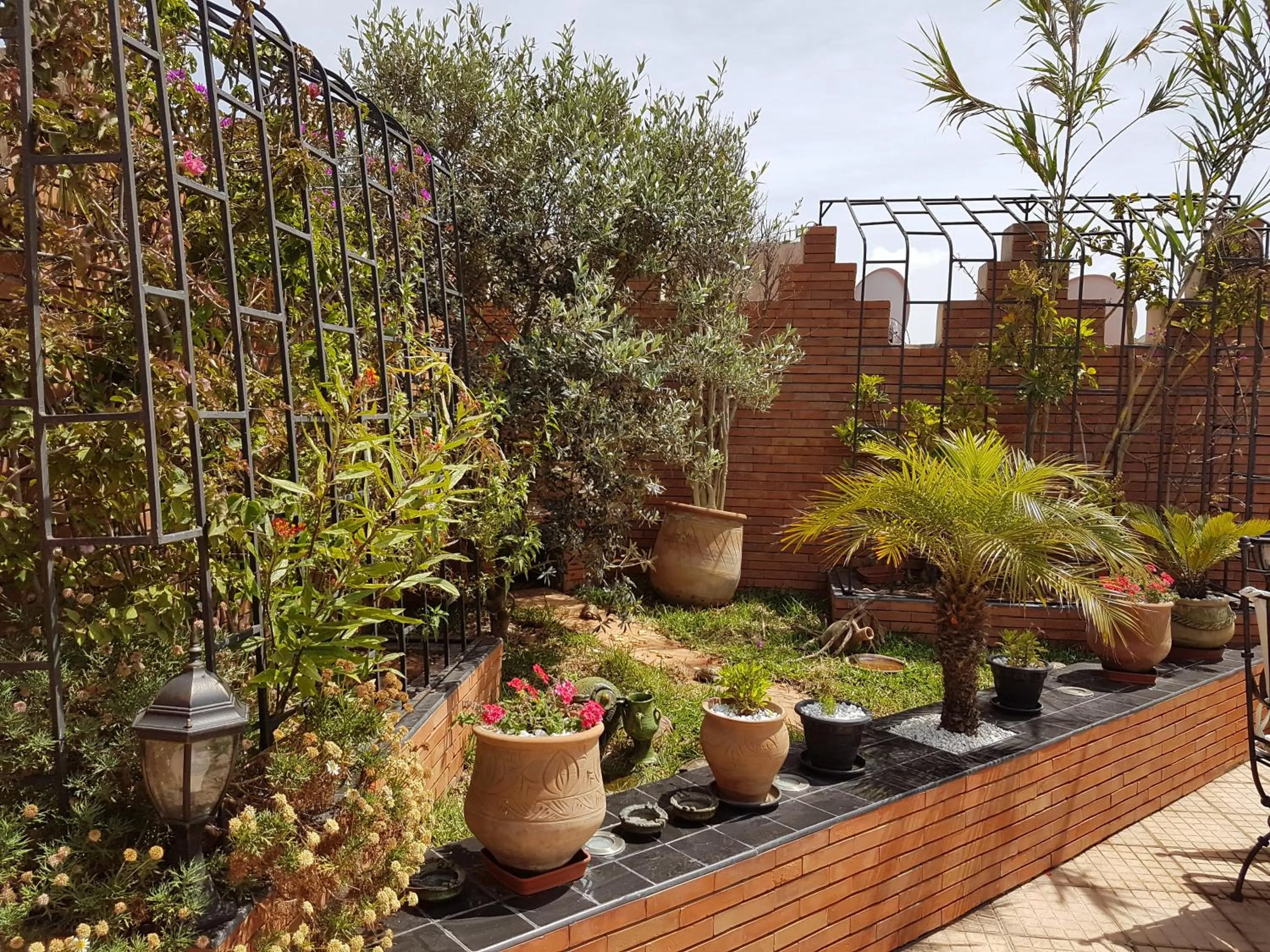 Garden in Riad Soleil D'orient