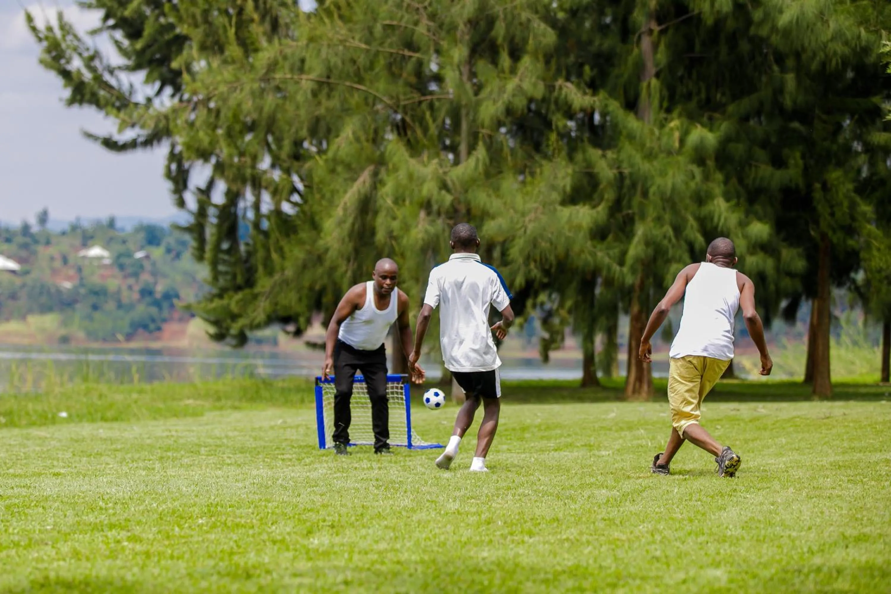 Garden in Maravilla Kivu Eco Resort