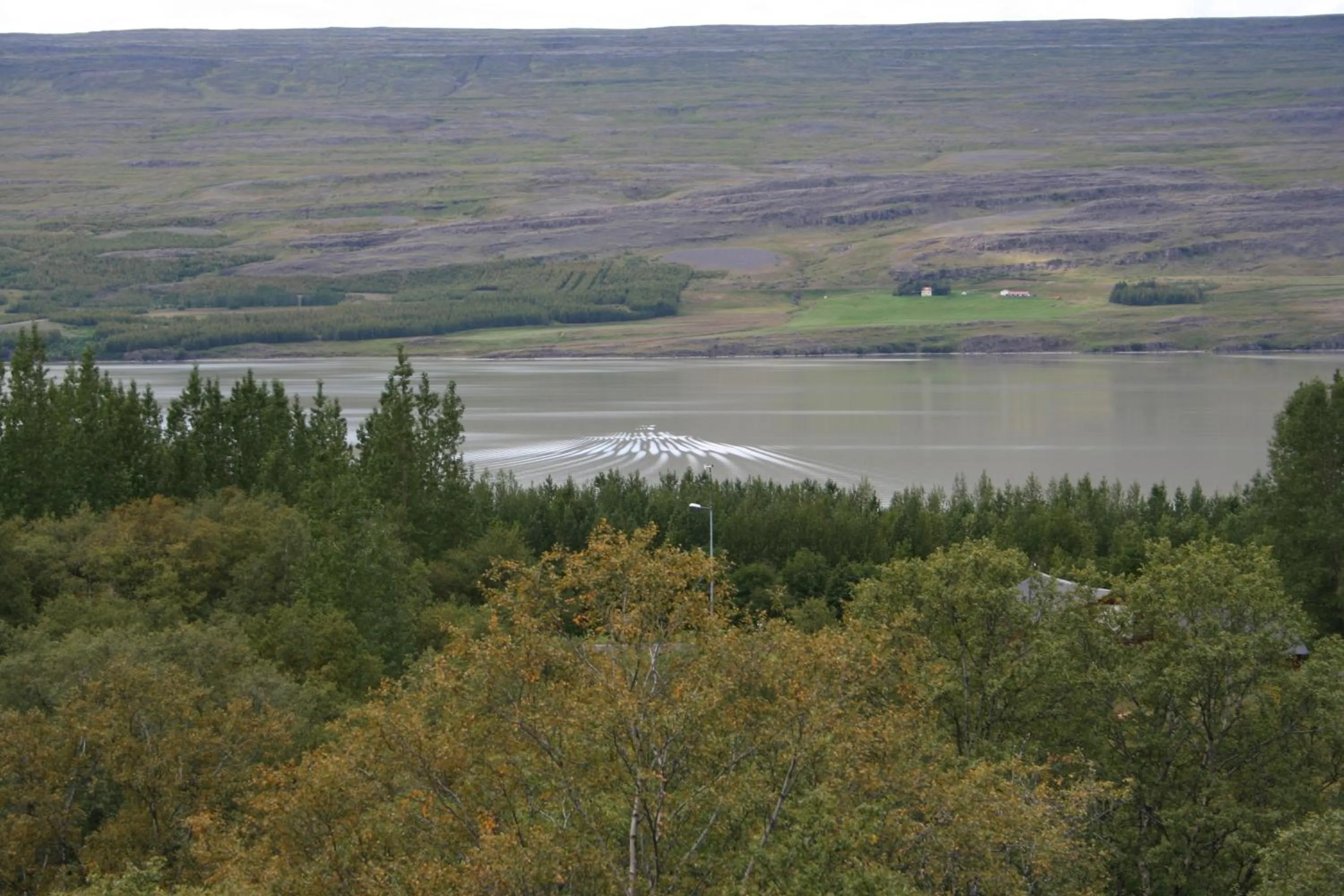 Double Room with Lake View in Hotel Hallormsstadur