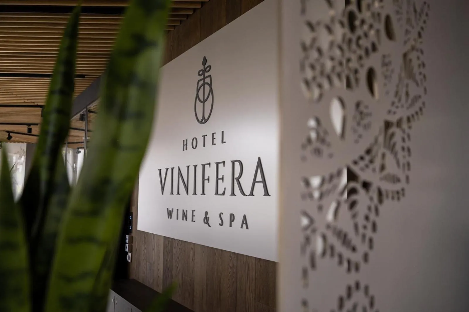 Lobby or reception in Hotel Vinifera Wine & Spa 5 Stars Superior