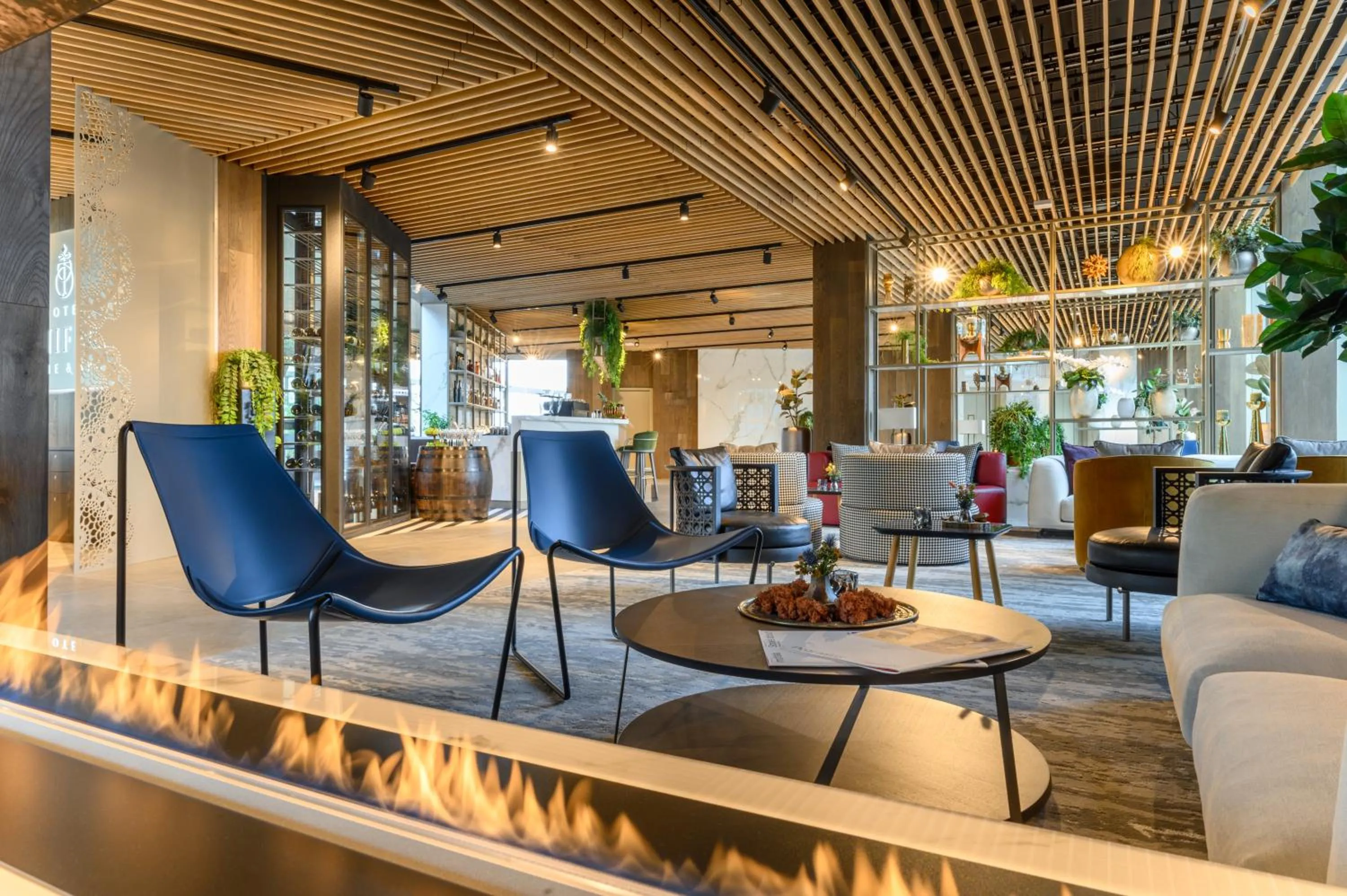 Area and facilities in Hotel Vinifera Wine & Spa 5 Stars Superior