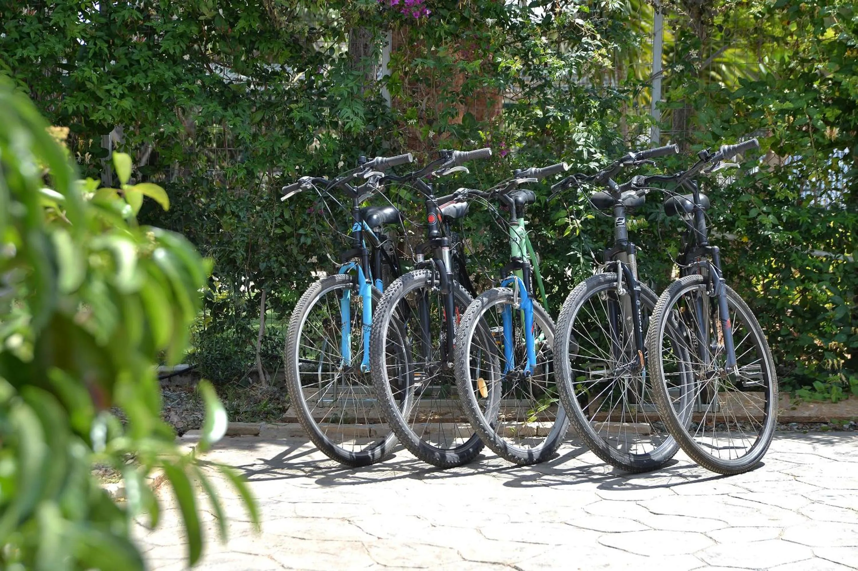 Day in Alekos Luxury Suites - Free 24hr Transformation From To Airport