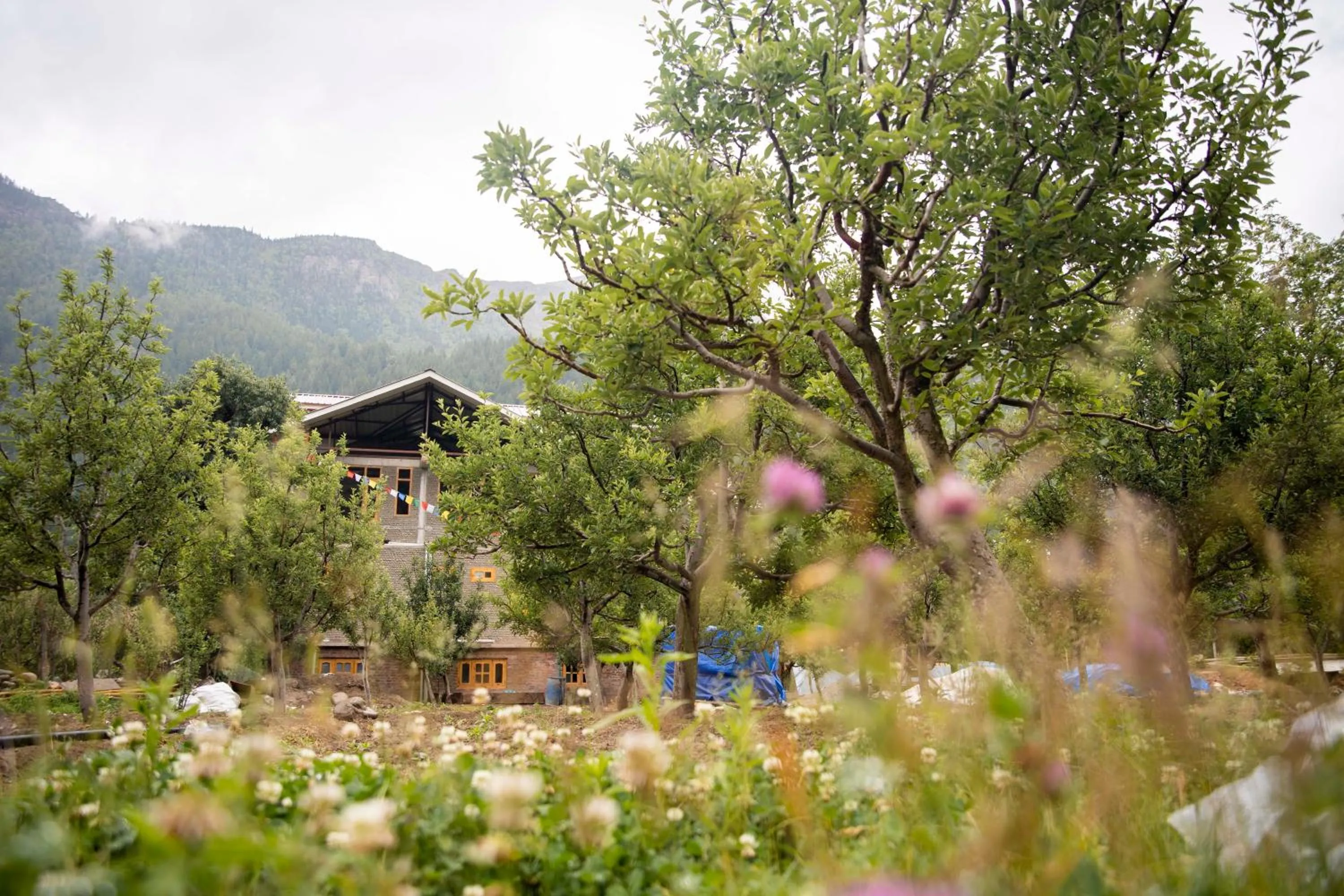 Mountain view in The Kamru Riverside Camps and Resorts