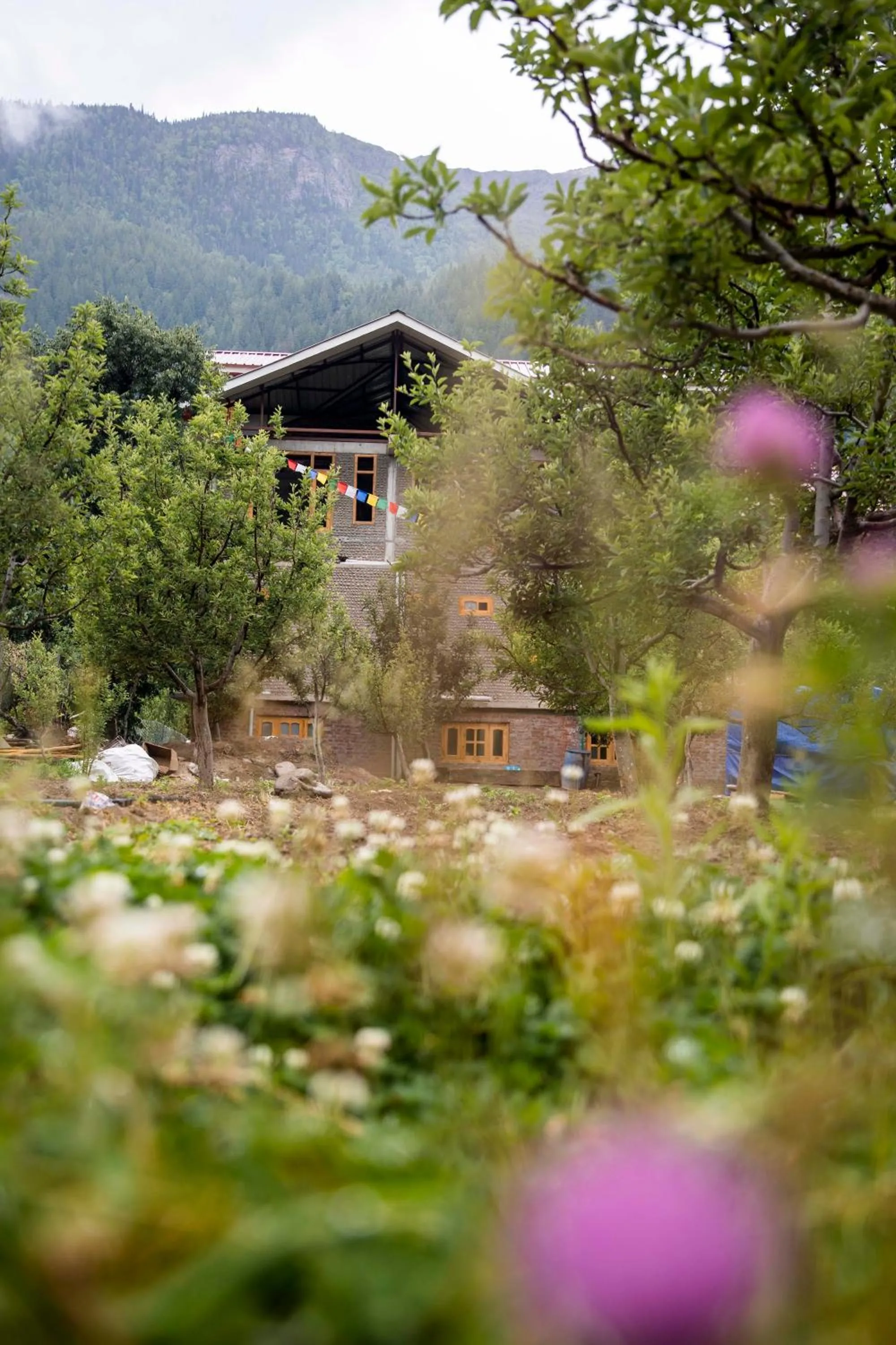 Garden view in The Kamru Riverside Camps and Resorts