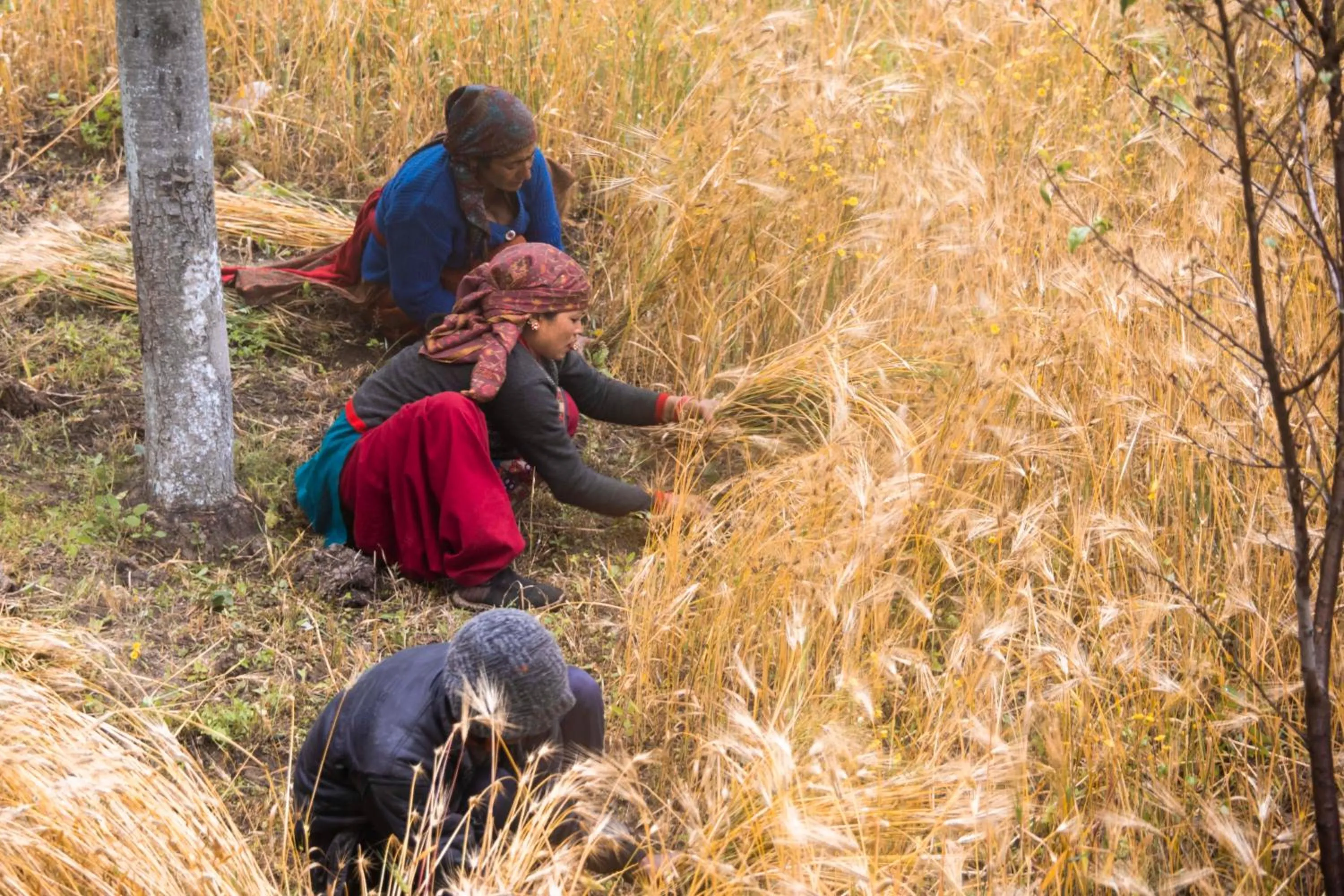 People in The Kamru Riverside Camps and Resorts