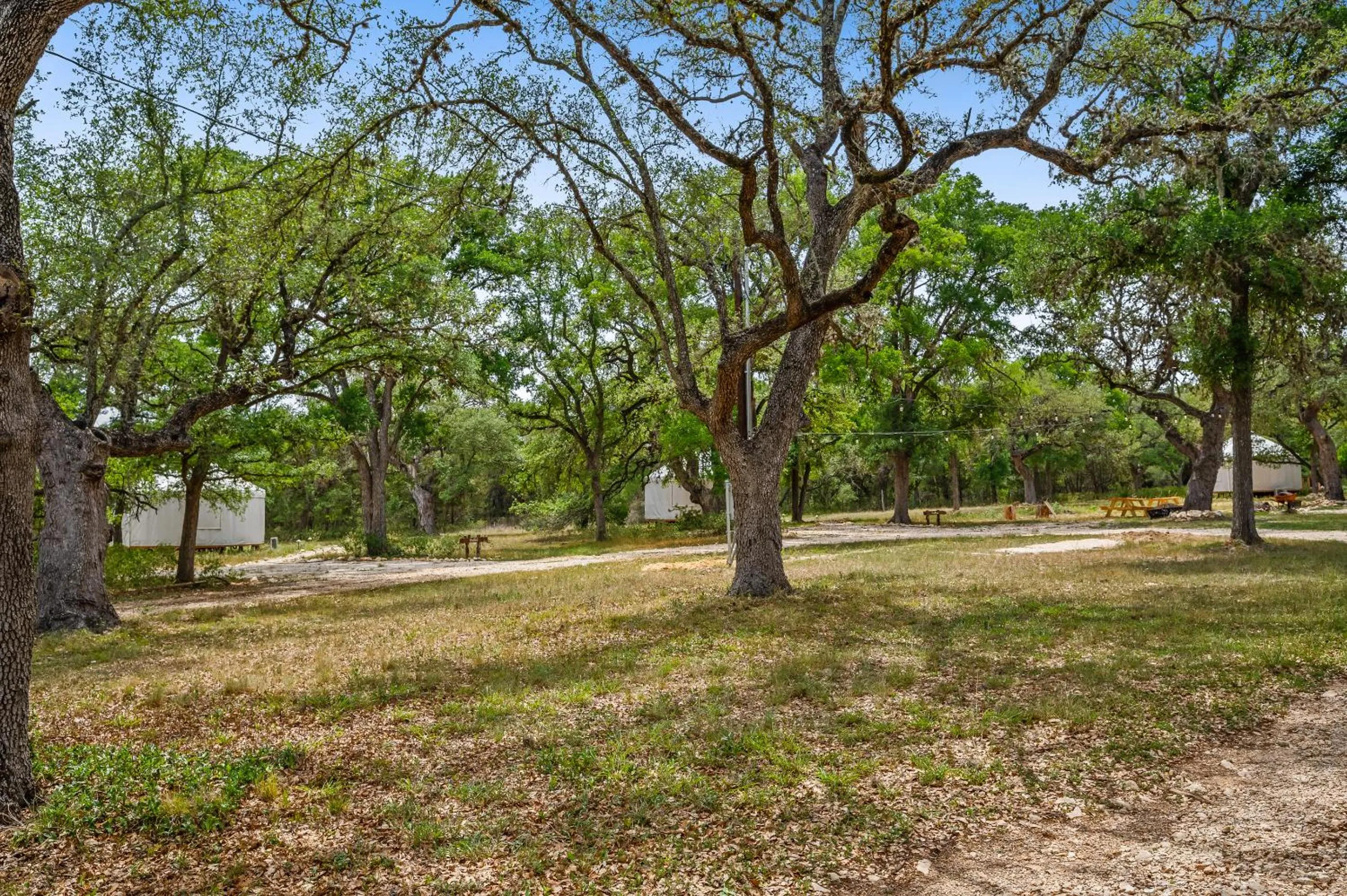 Other in OT 3515L Texas Yurt Haus Longhorn