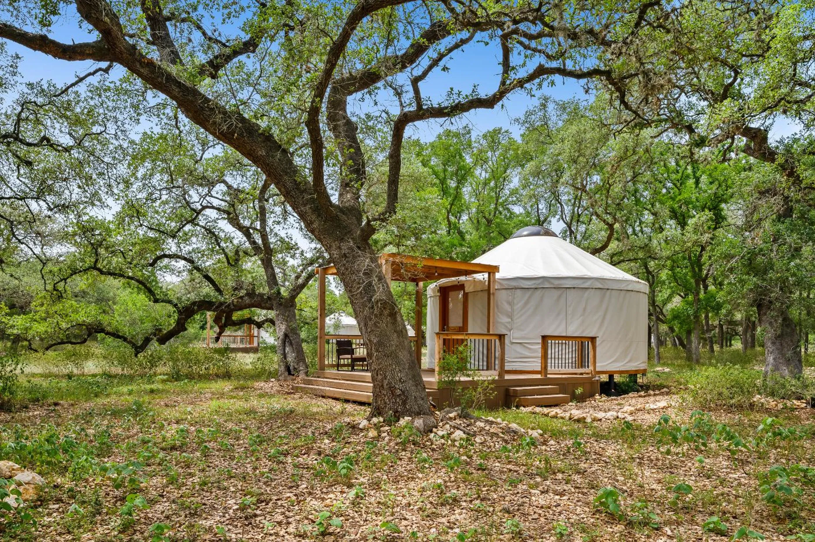 Other in OT 3515L Texas Yurt Haus Longhorn
