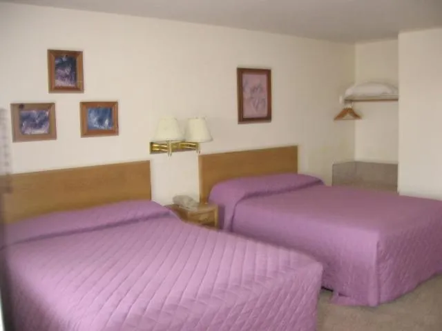 Bedroom, Bed in Little Bear Motel