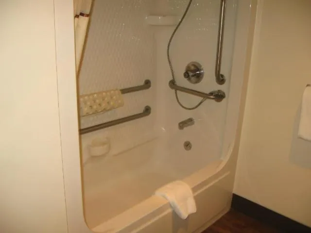 Bathroom in Little Bear Motel