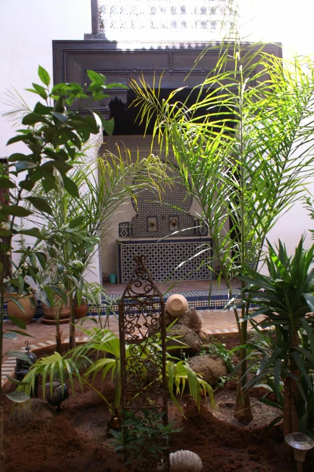 Garden in Riad Felloussia