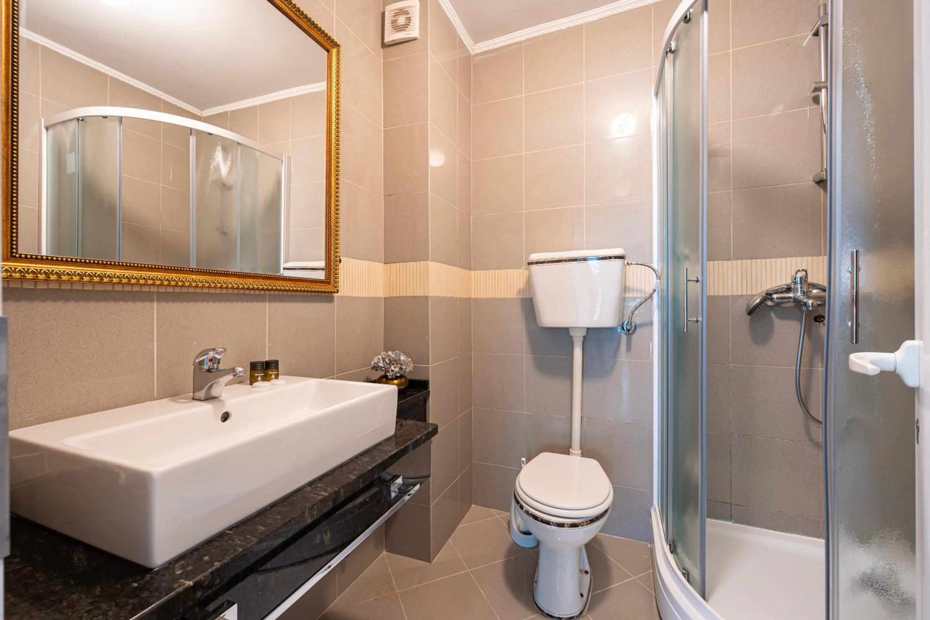 Shower in Hotel Adrović