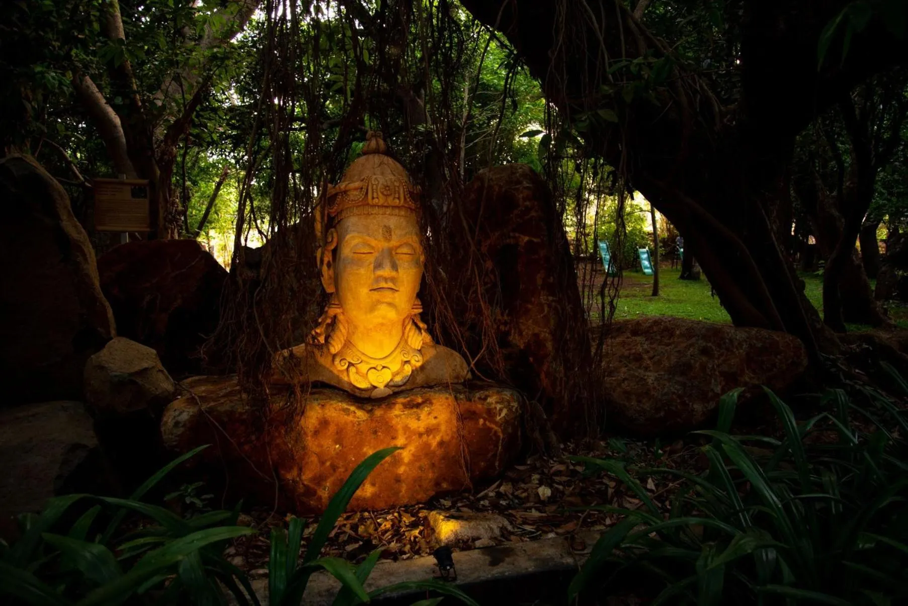 Garden in Malhar Machi Mountain Resorts